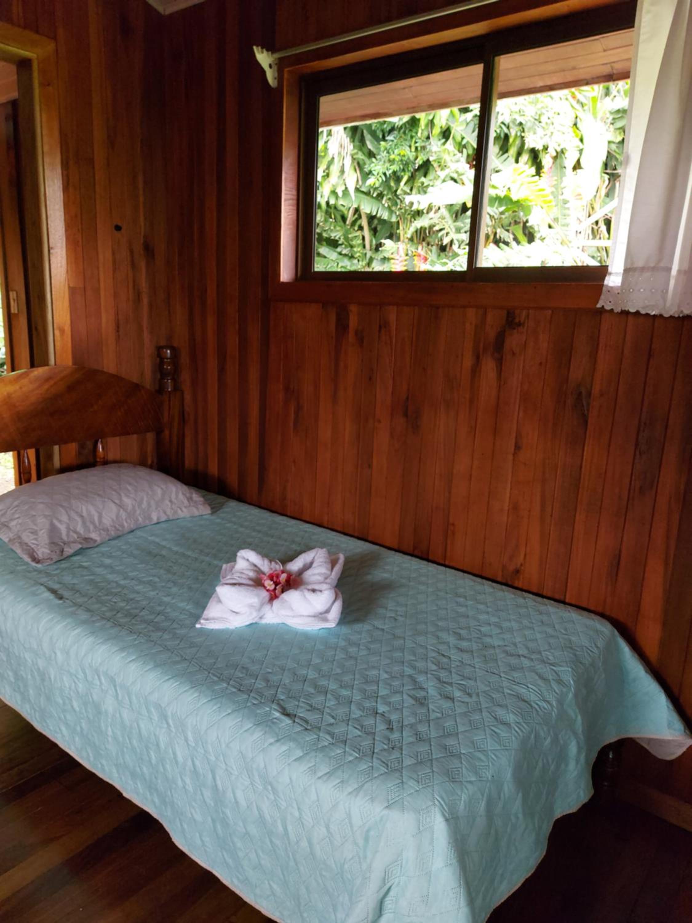 Campo Azul #2 - Monteverde