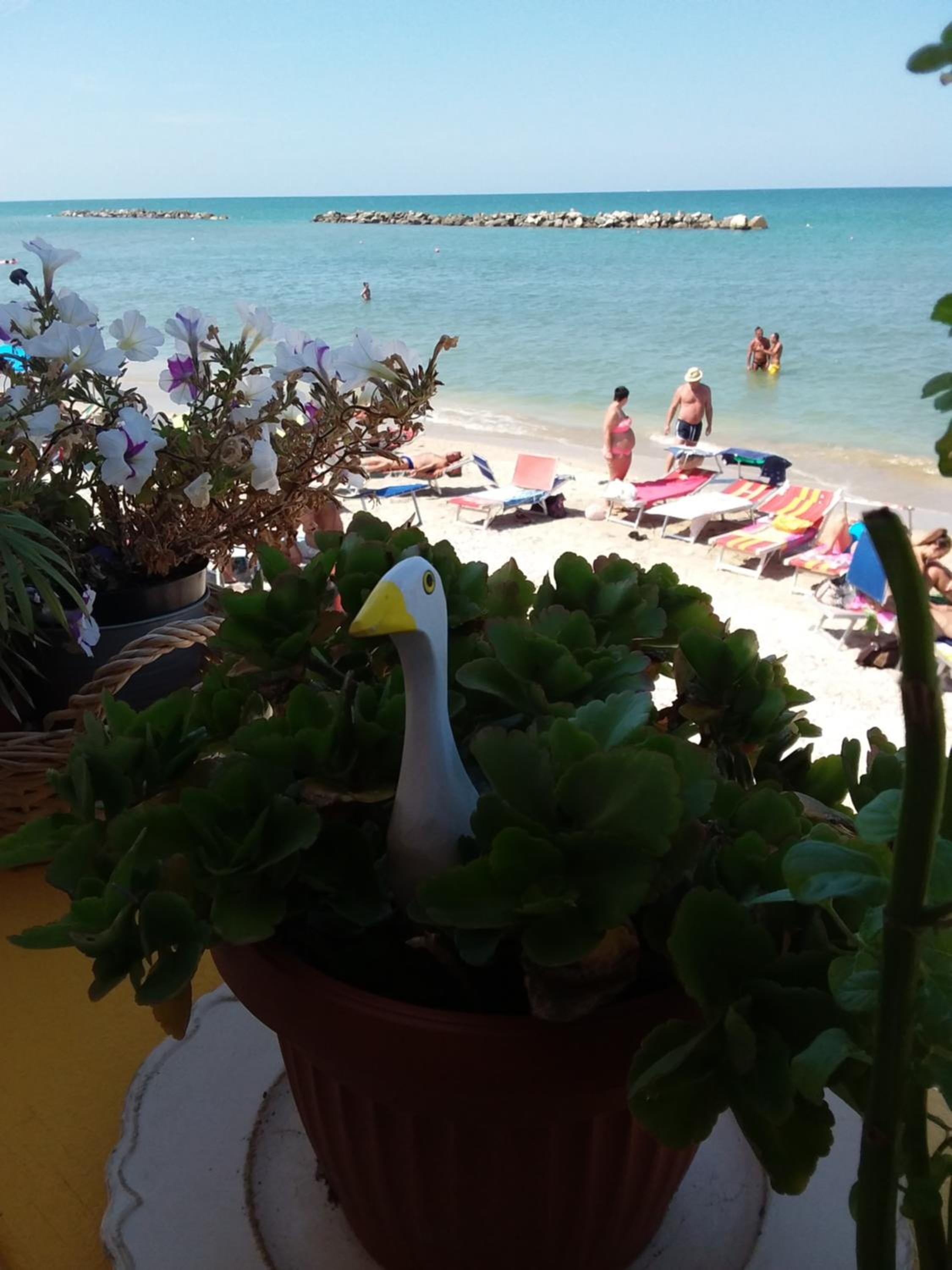 Acquamarina B&B Casa vacanze