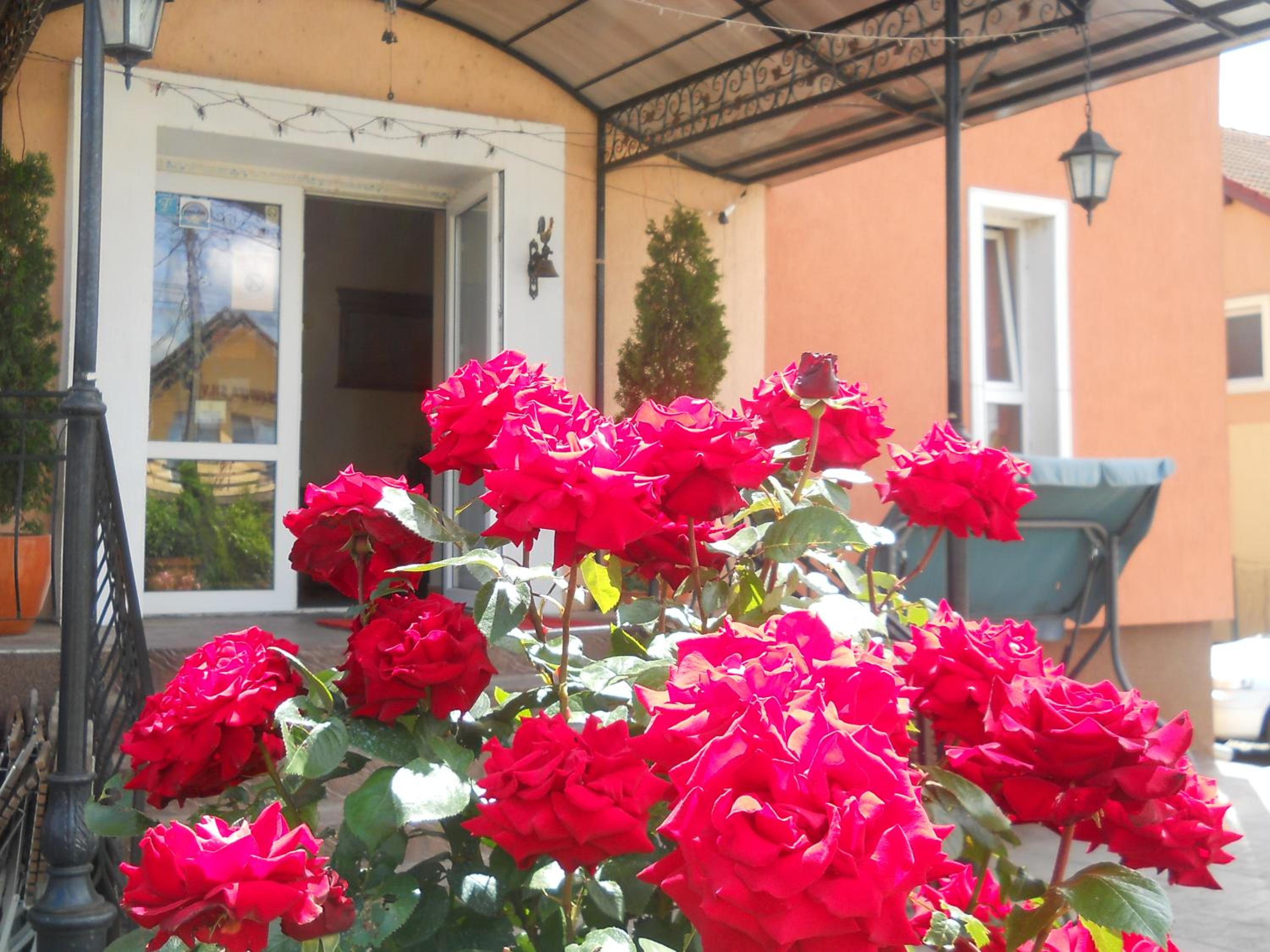 Photo 41