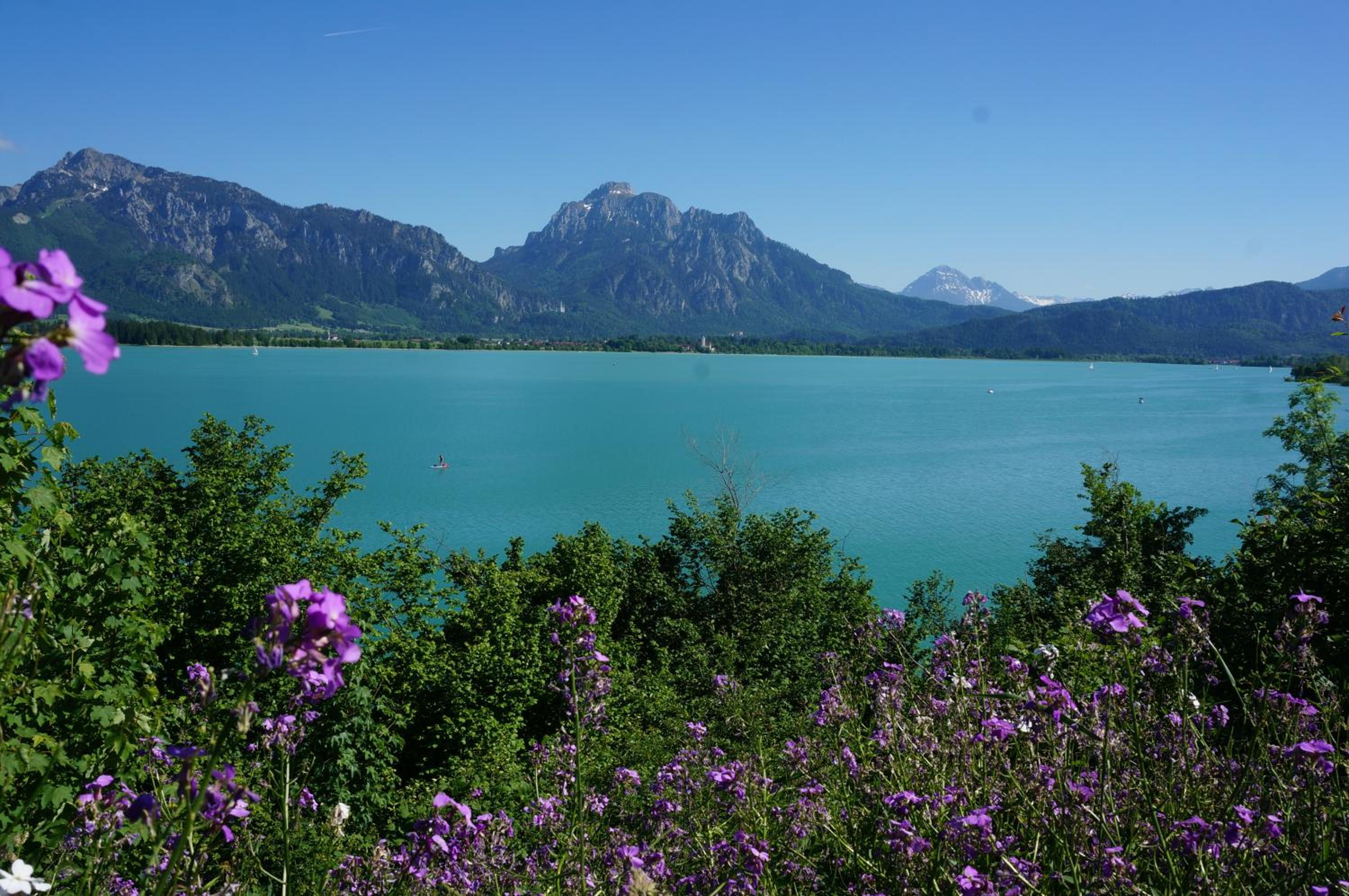 Ferienhaus Lieblingsplatz-Füssen - stilvoll urlauben & wohnen