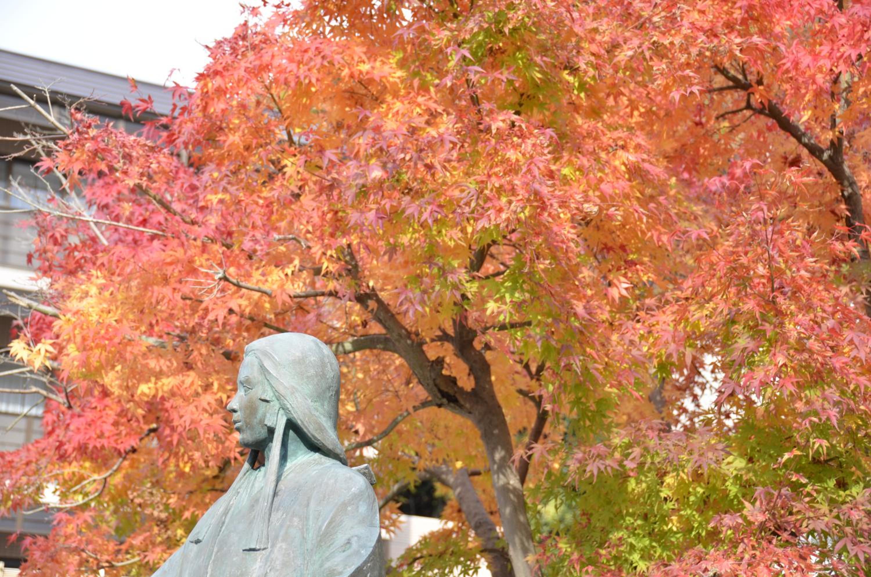 Photo 34