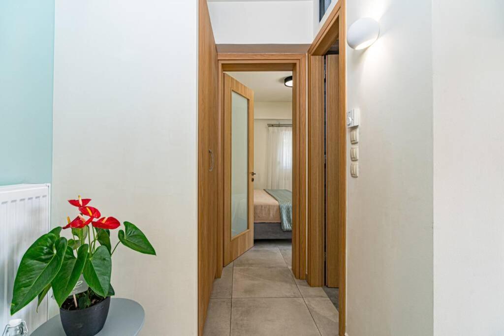 Olga's Organic garden Home for a couple! with Wifi & AC view 4
