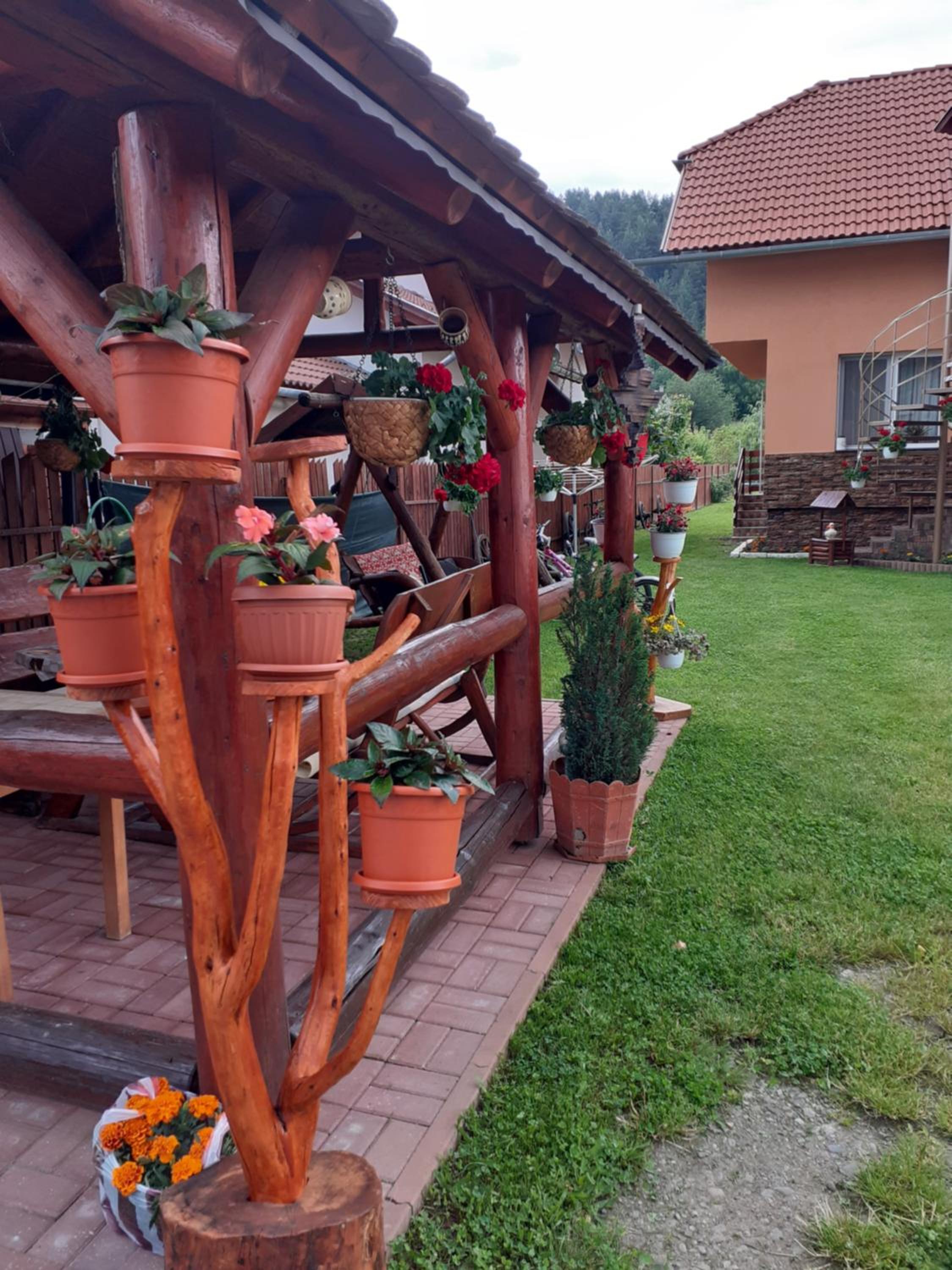 Photo 21