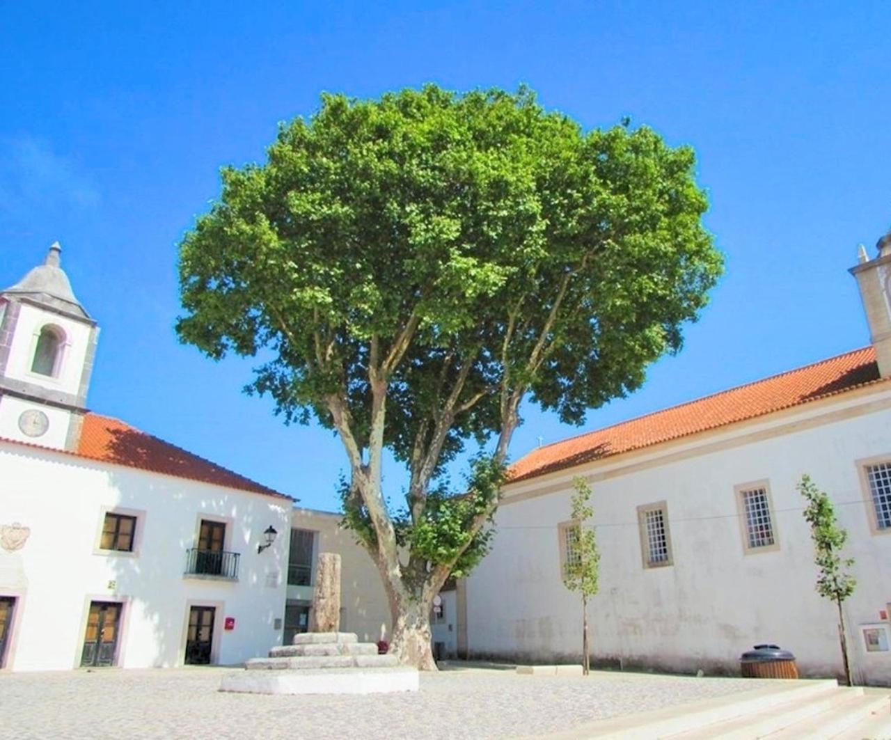 Duarte Houses - Casa T1 N - com vista mar view 2