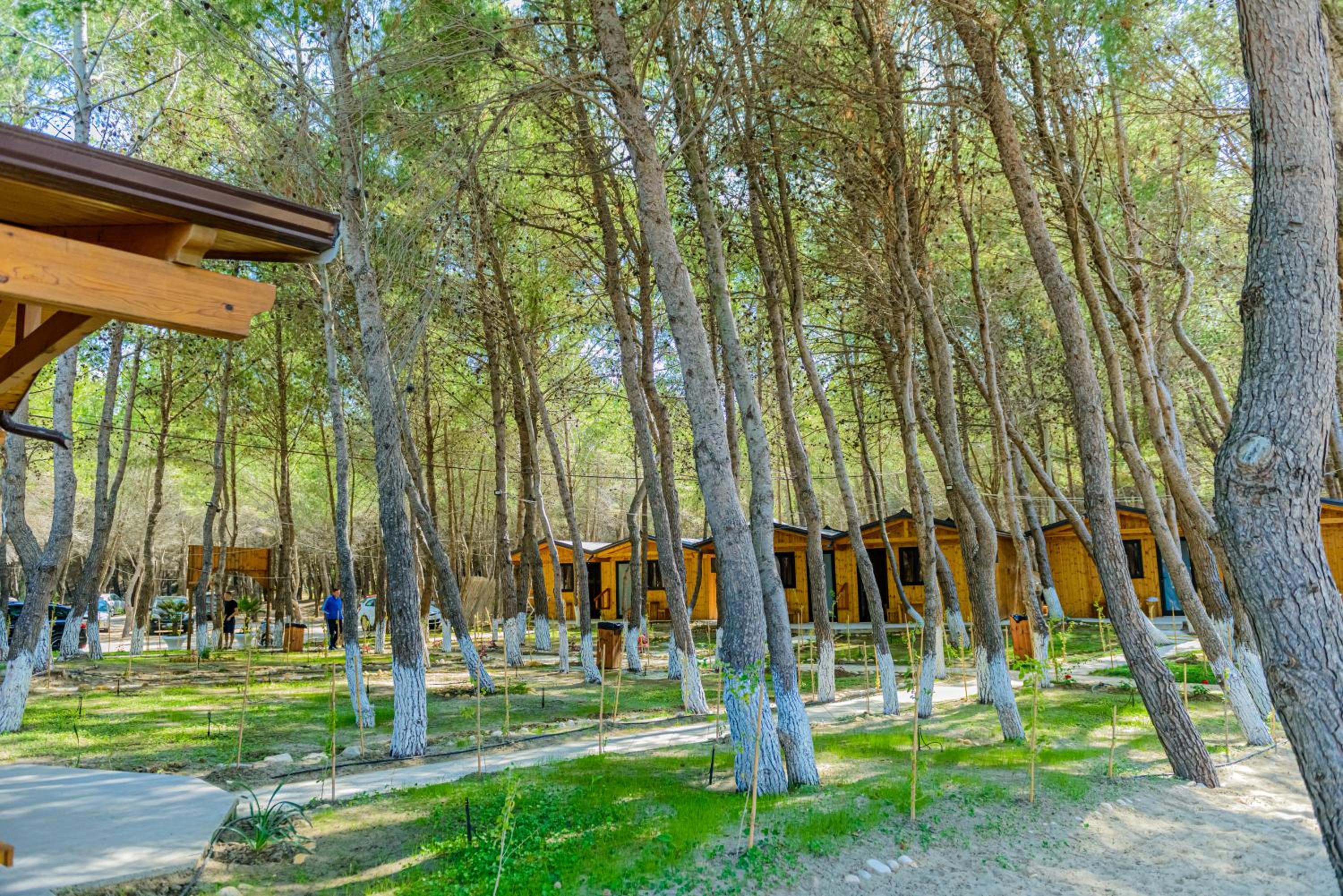 ECUADOR Resort