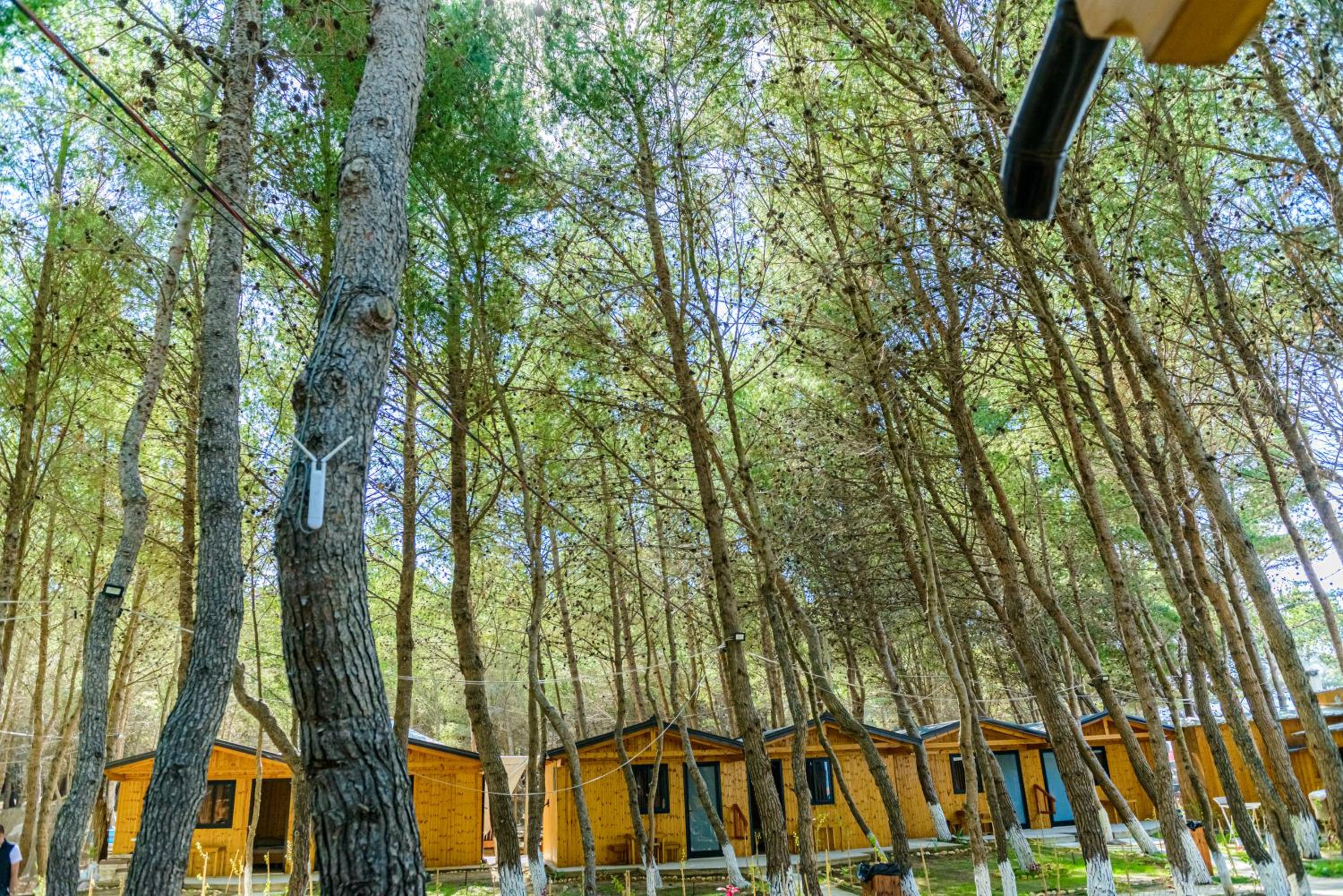 ECUADOR Resort