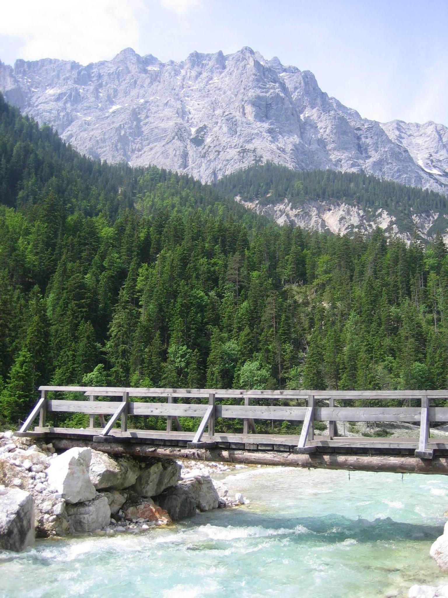 Photo 23