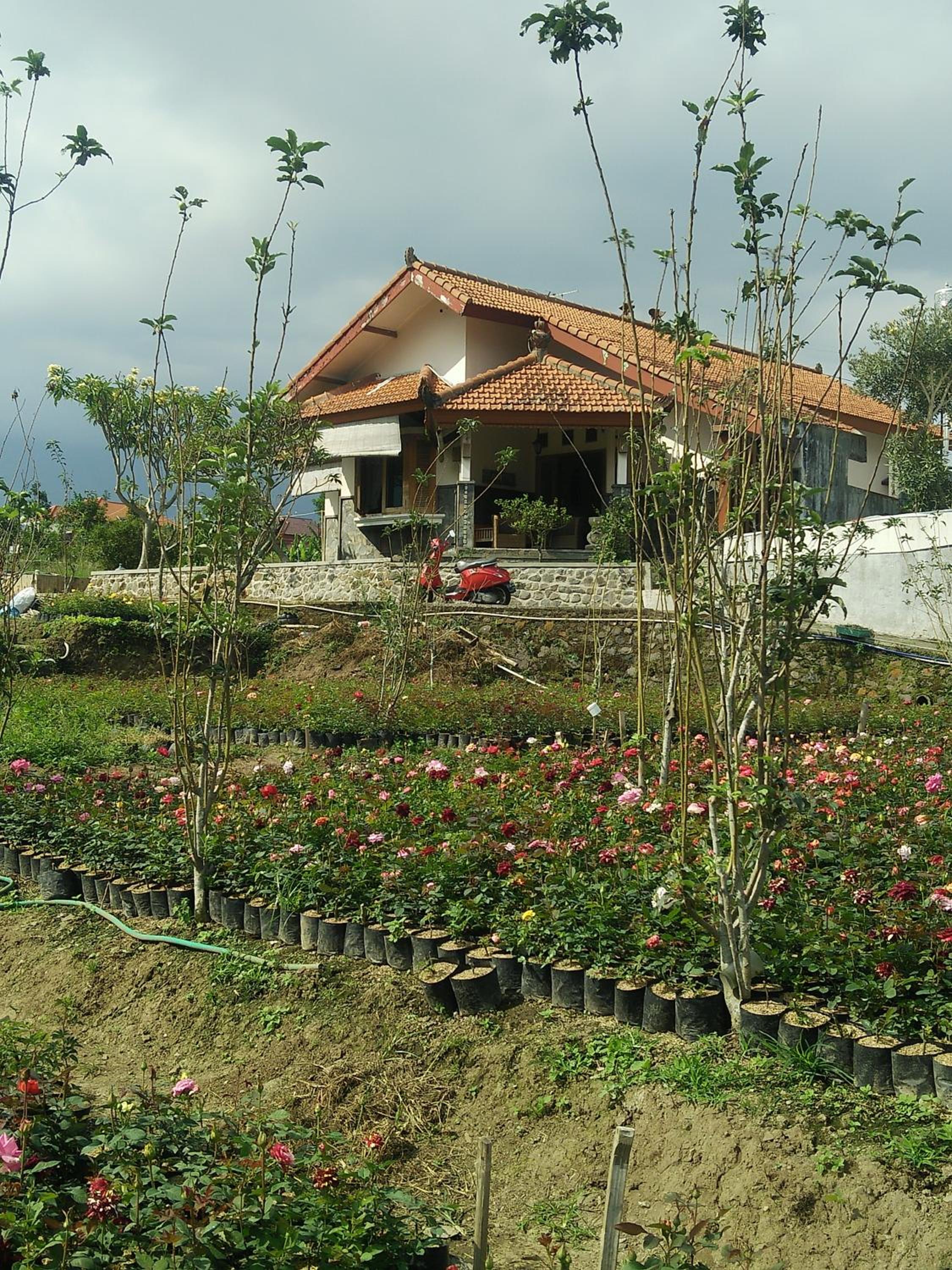 Hotel Shanty's House - Image 1