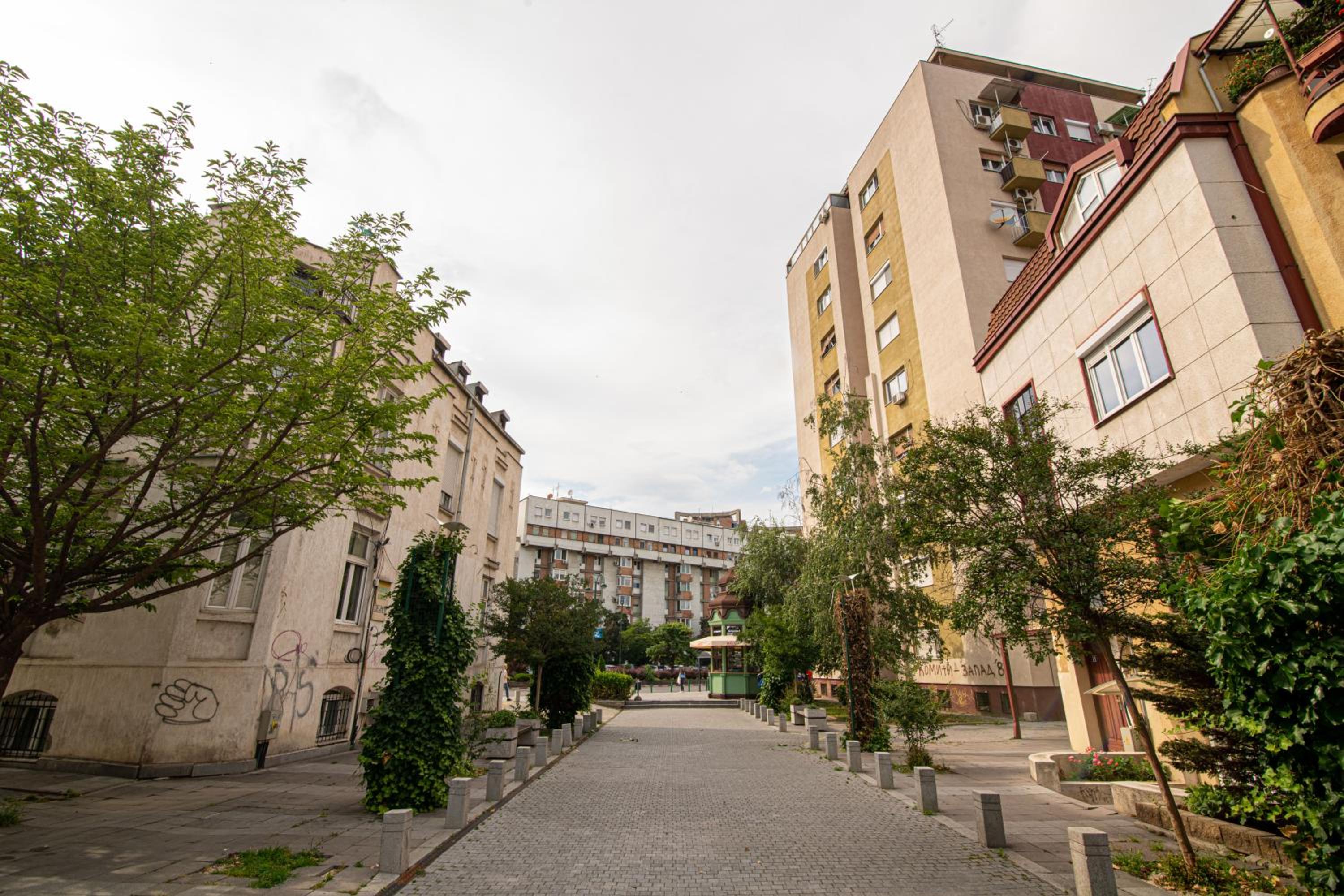 Photo 18
