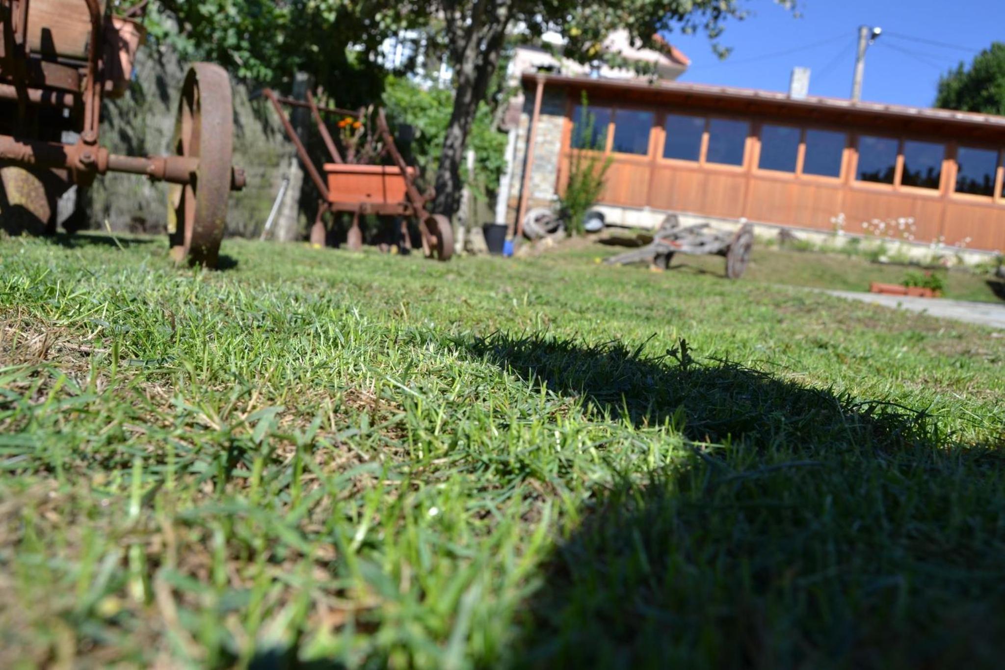 Photo 32