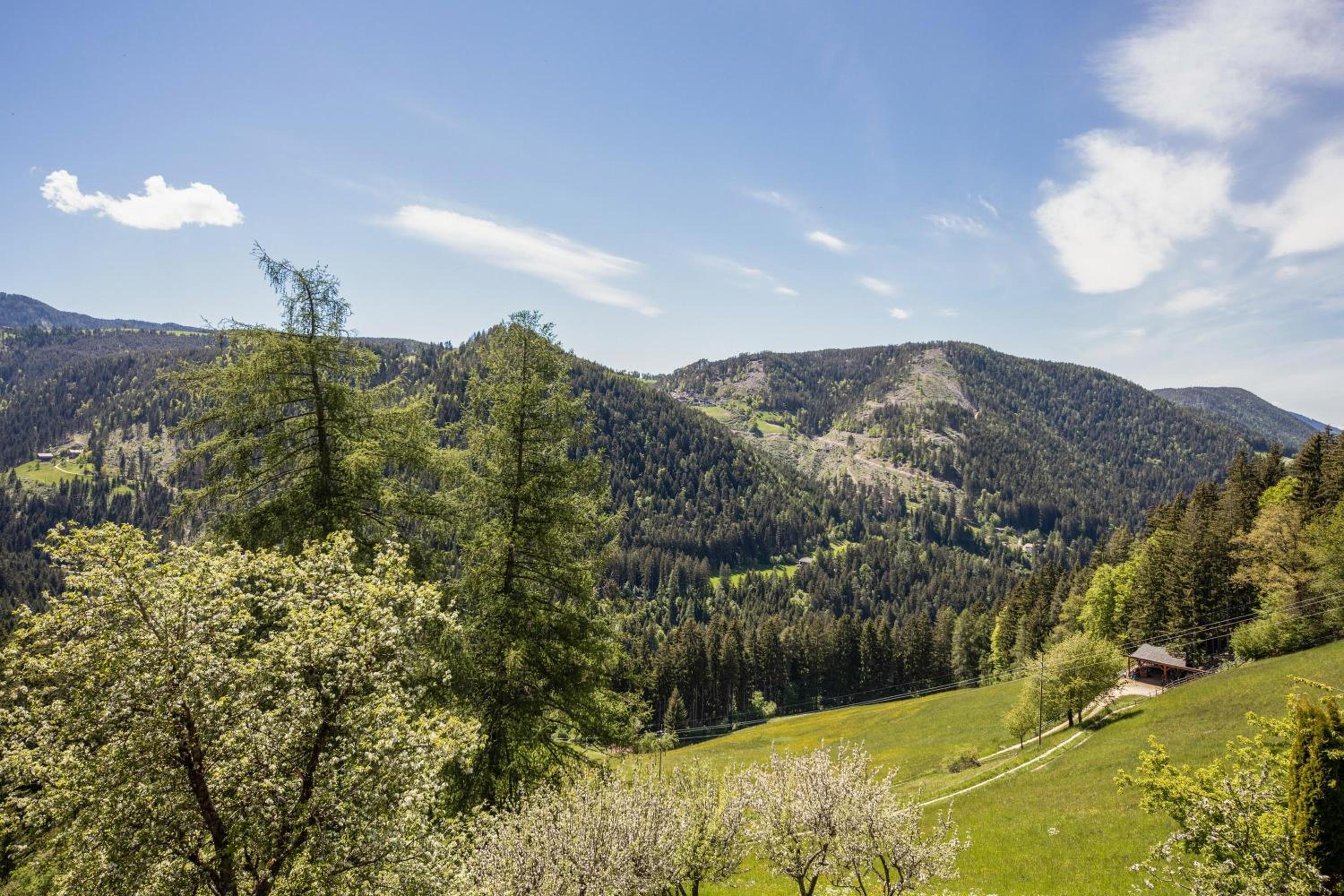 Ferienwohnung Lavendel Thalerhof view 4