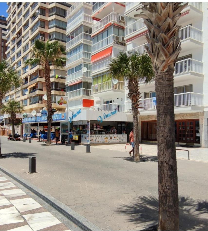 Veracruz-Fincas Benidorm