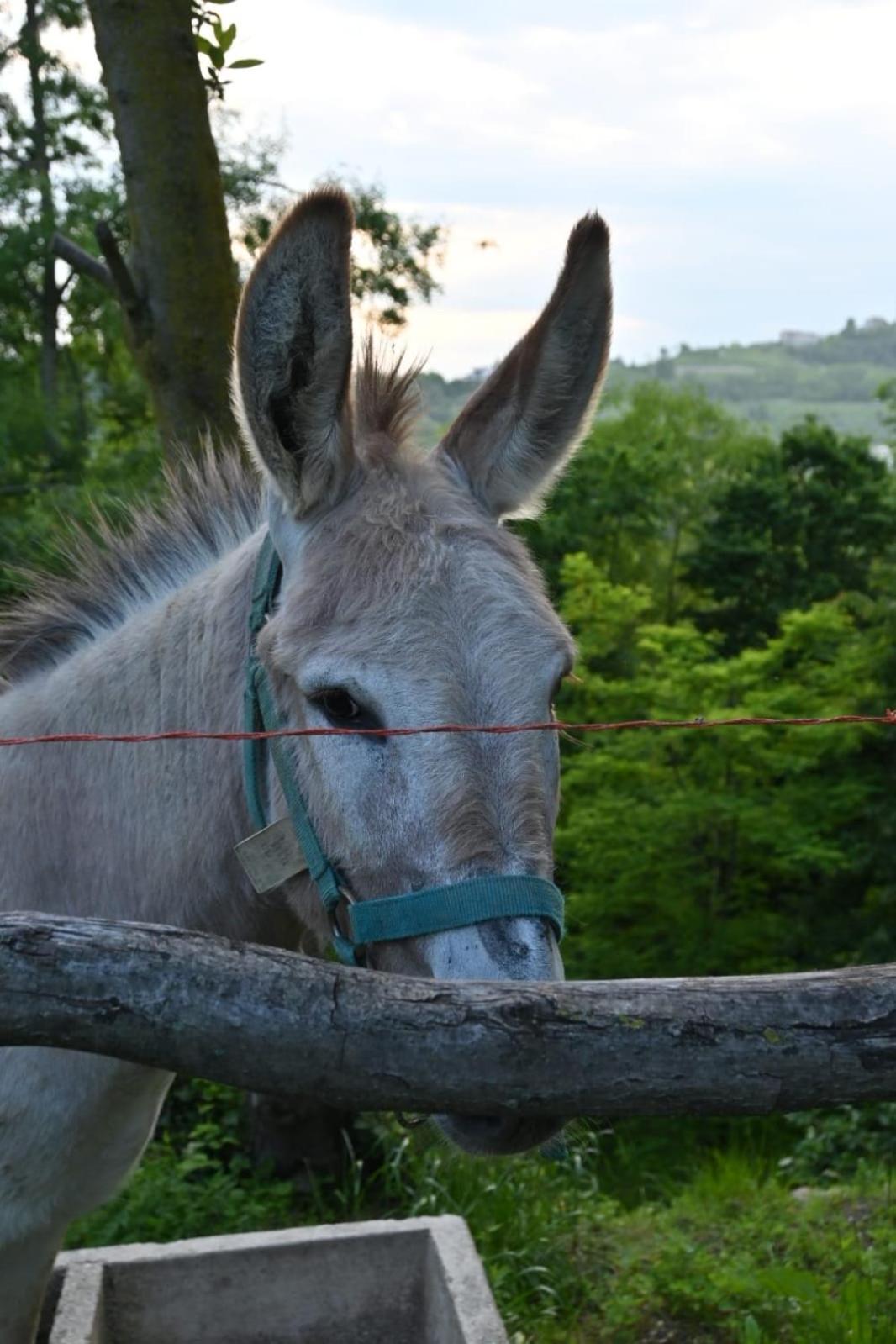 Agriturismo Le Spezie