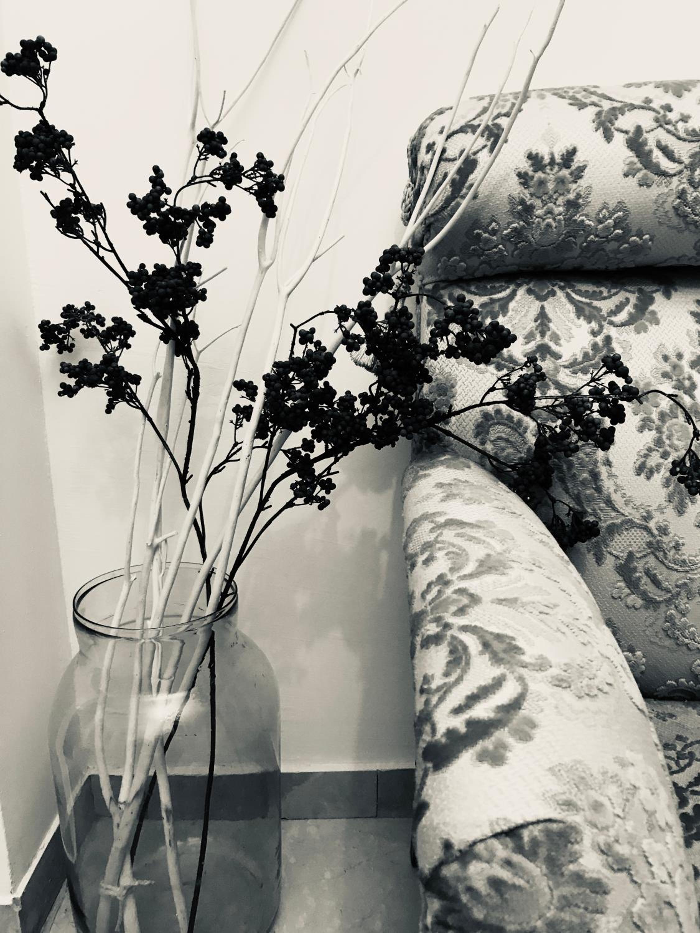 Fleur Blanche