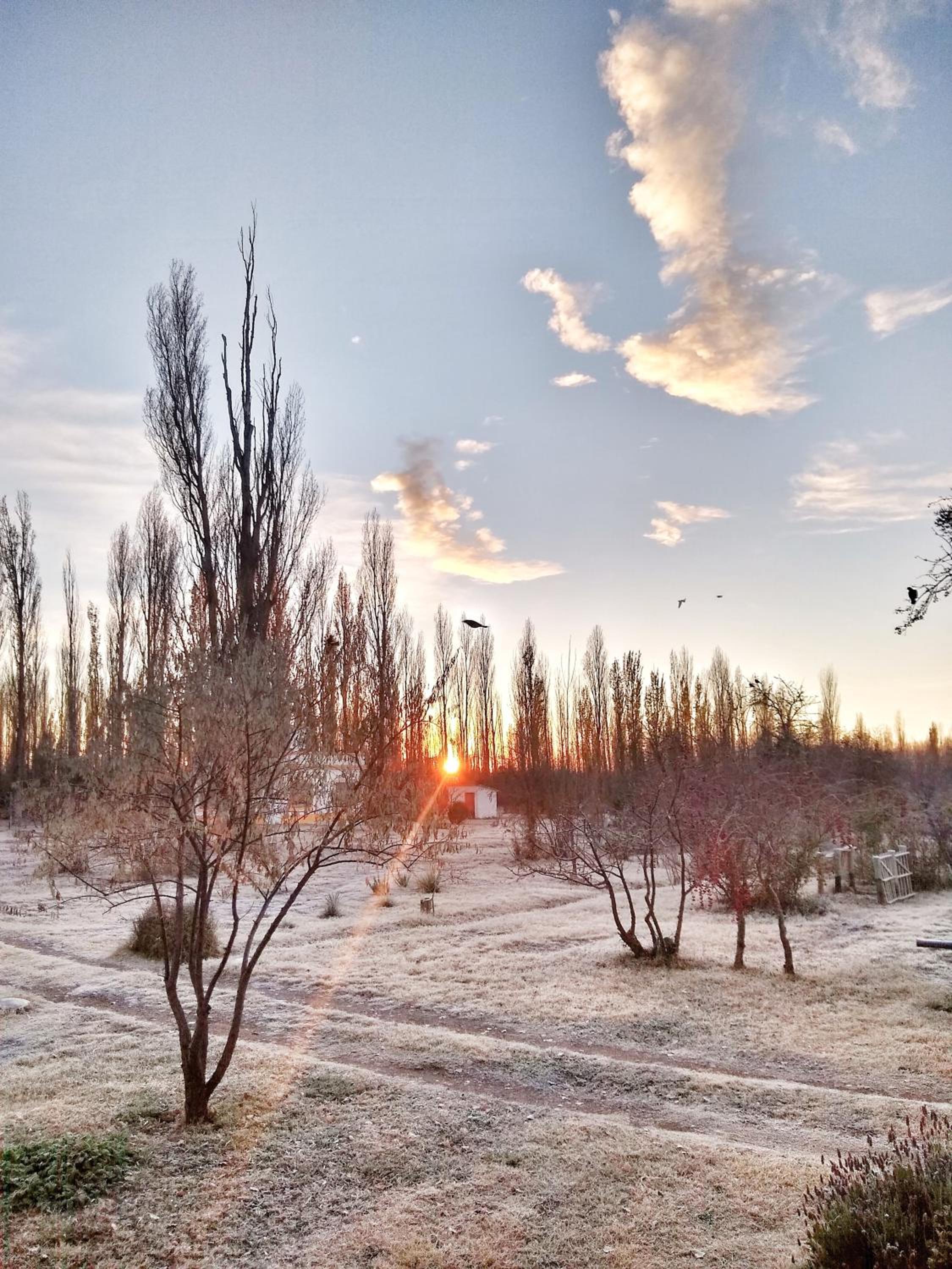 Finca La Penúltima-Posada