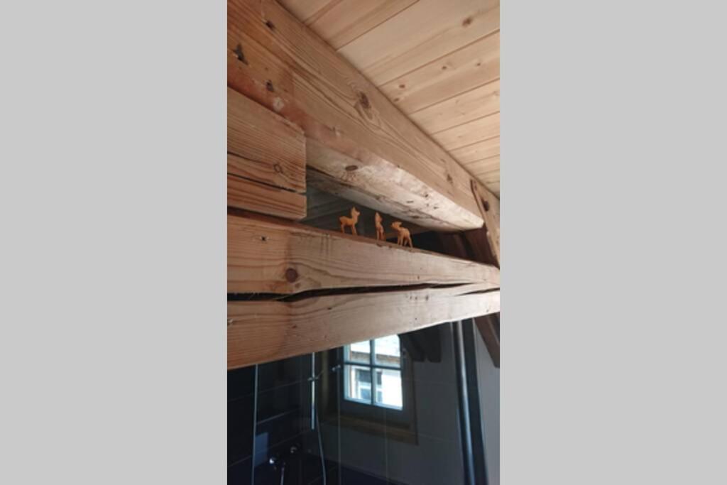 Mothsgut - moderne Ferienwohnung auf dem Bauernhof im Erzgebirge, photo 21