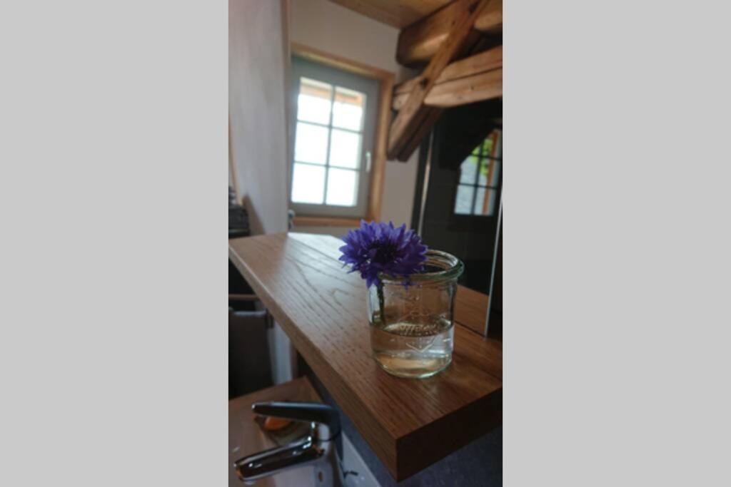 Mothsgut - moderne Ferienwohnung auf dem Bauernhof im Erzgebirge, photo 28