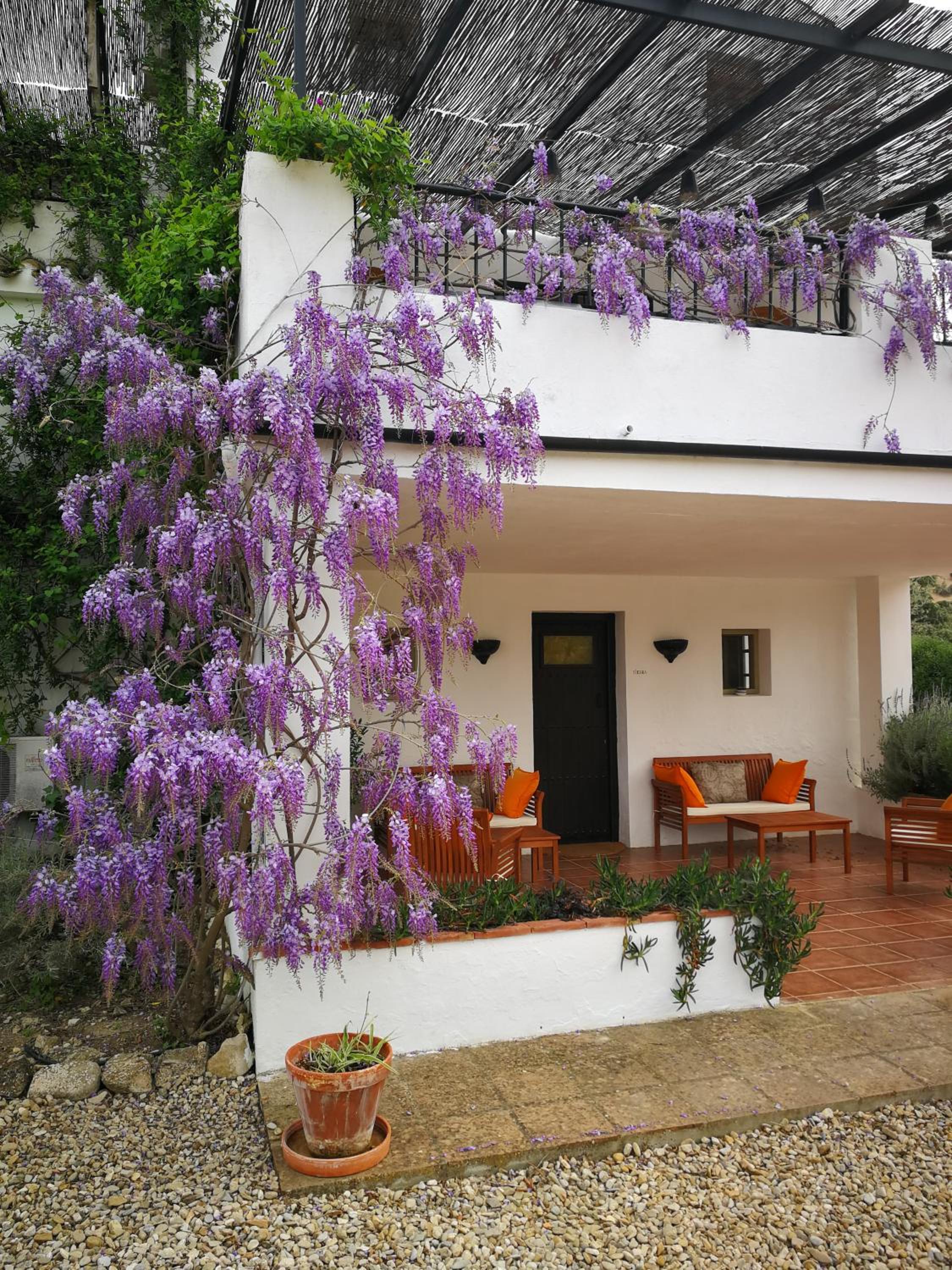 Caseria De San José
