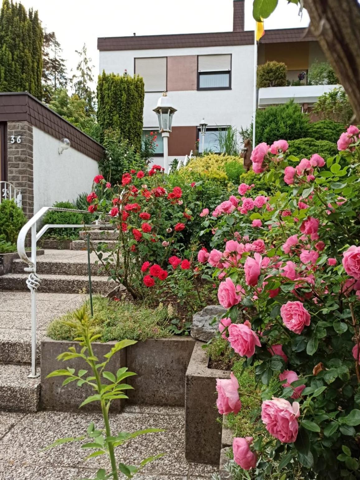 Apartments Gala, ruhige Lage, stadtnah