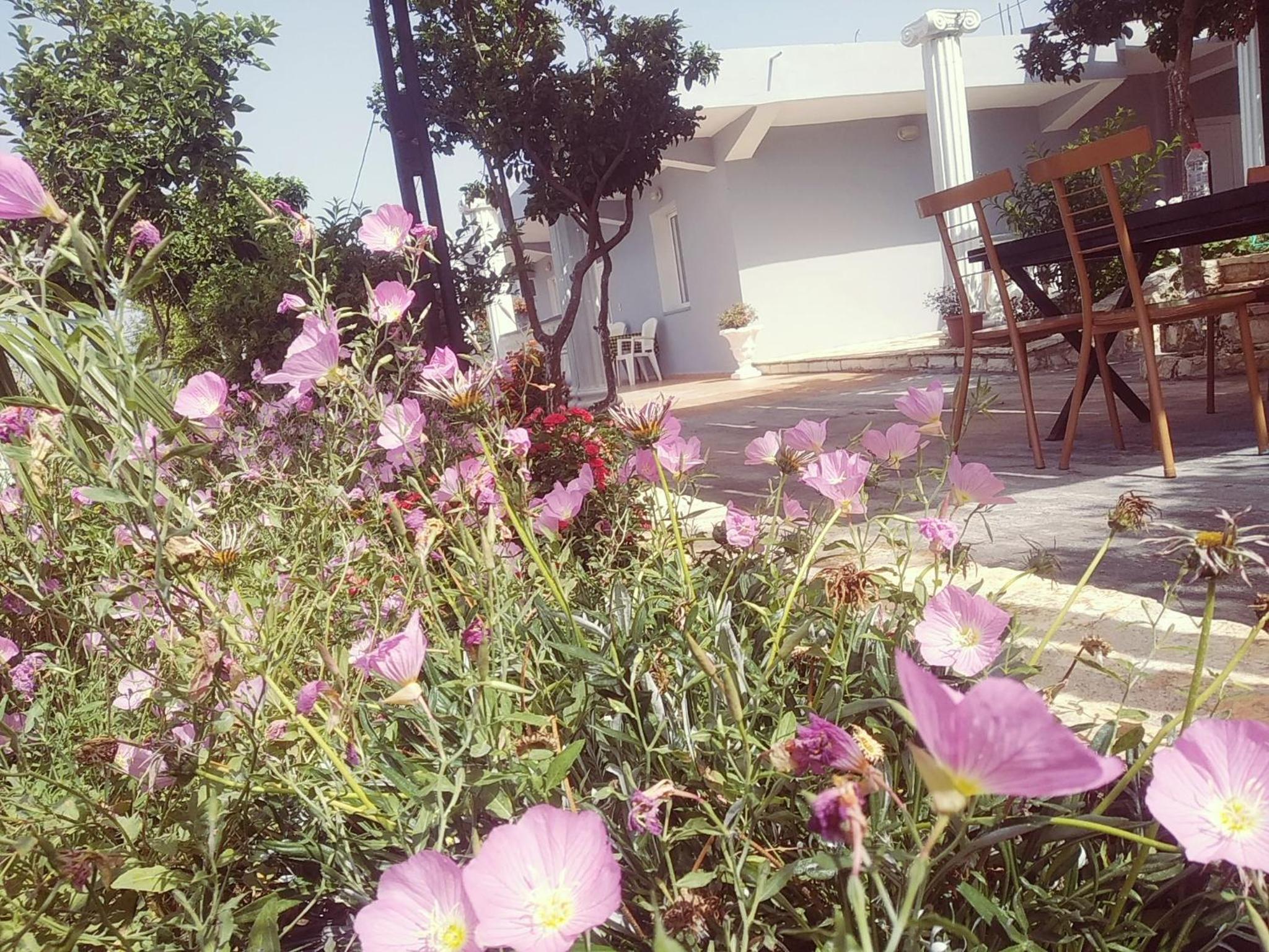 Amantia Apartments