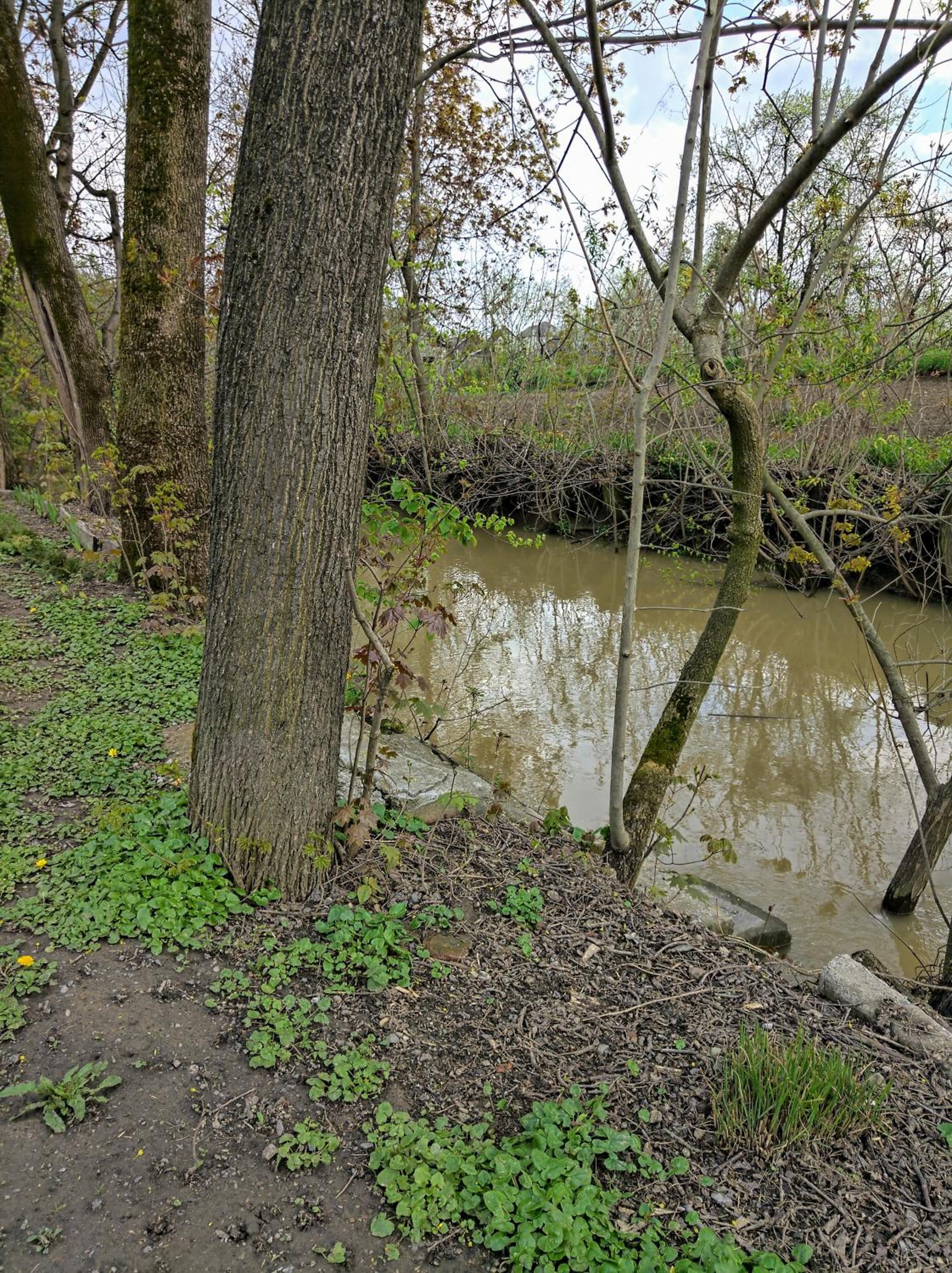 Photo 48