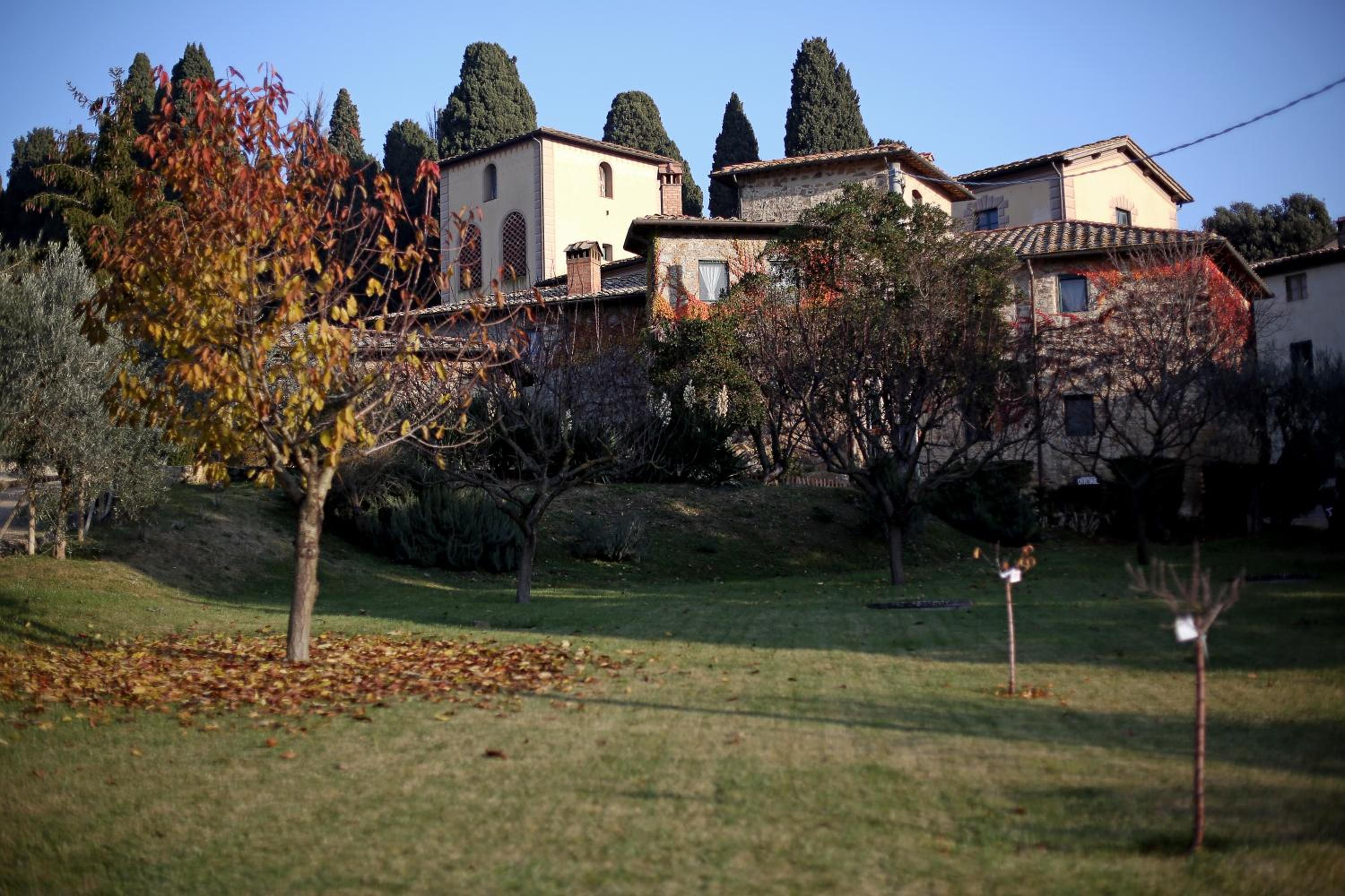 Photo 49