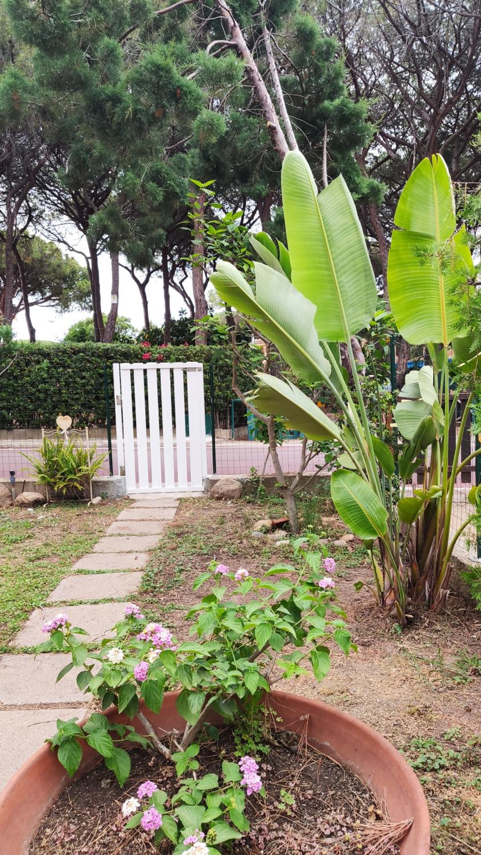 Villino Sunshine S8989 photo 2