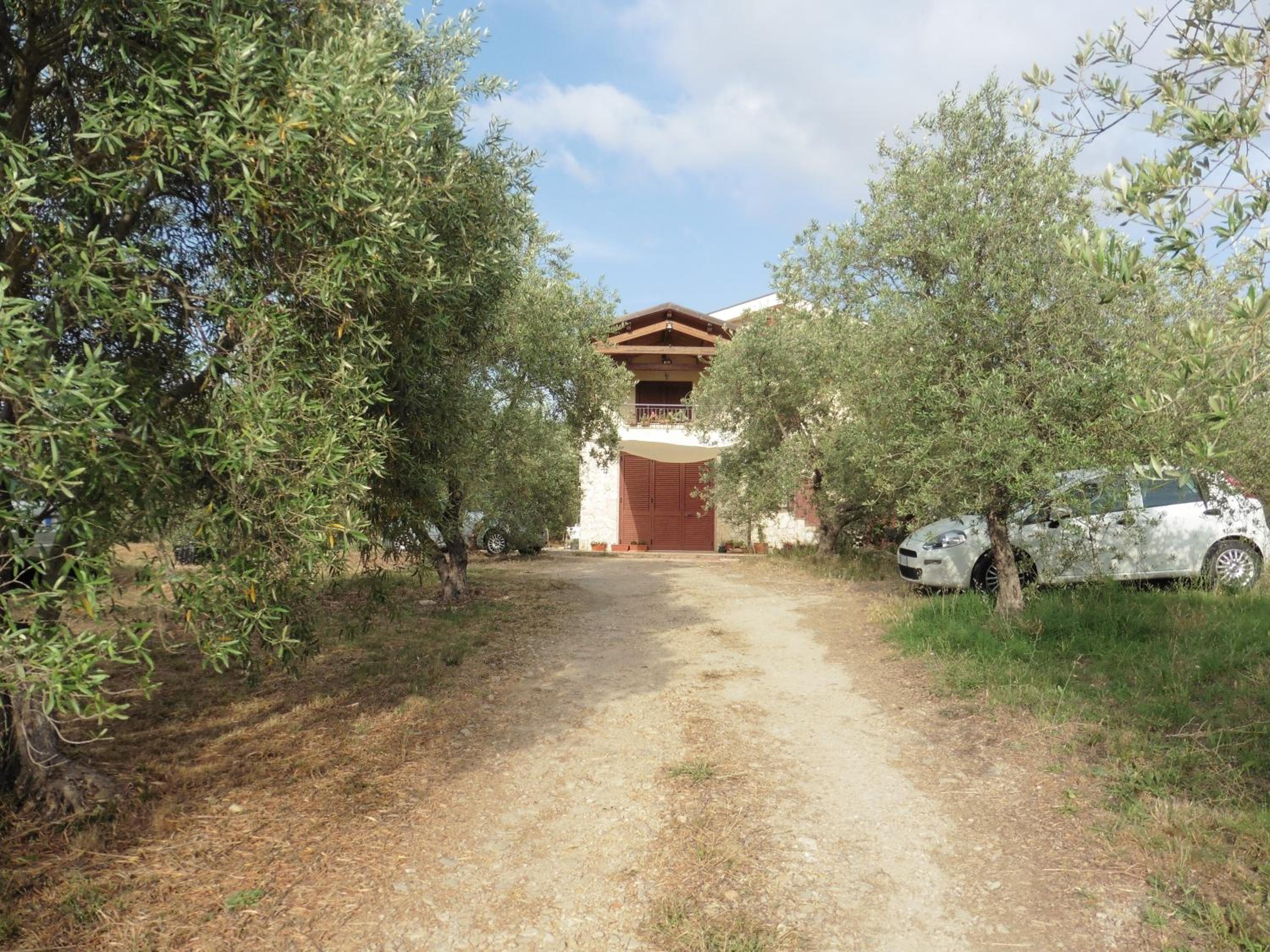 Photo 14