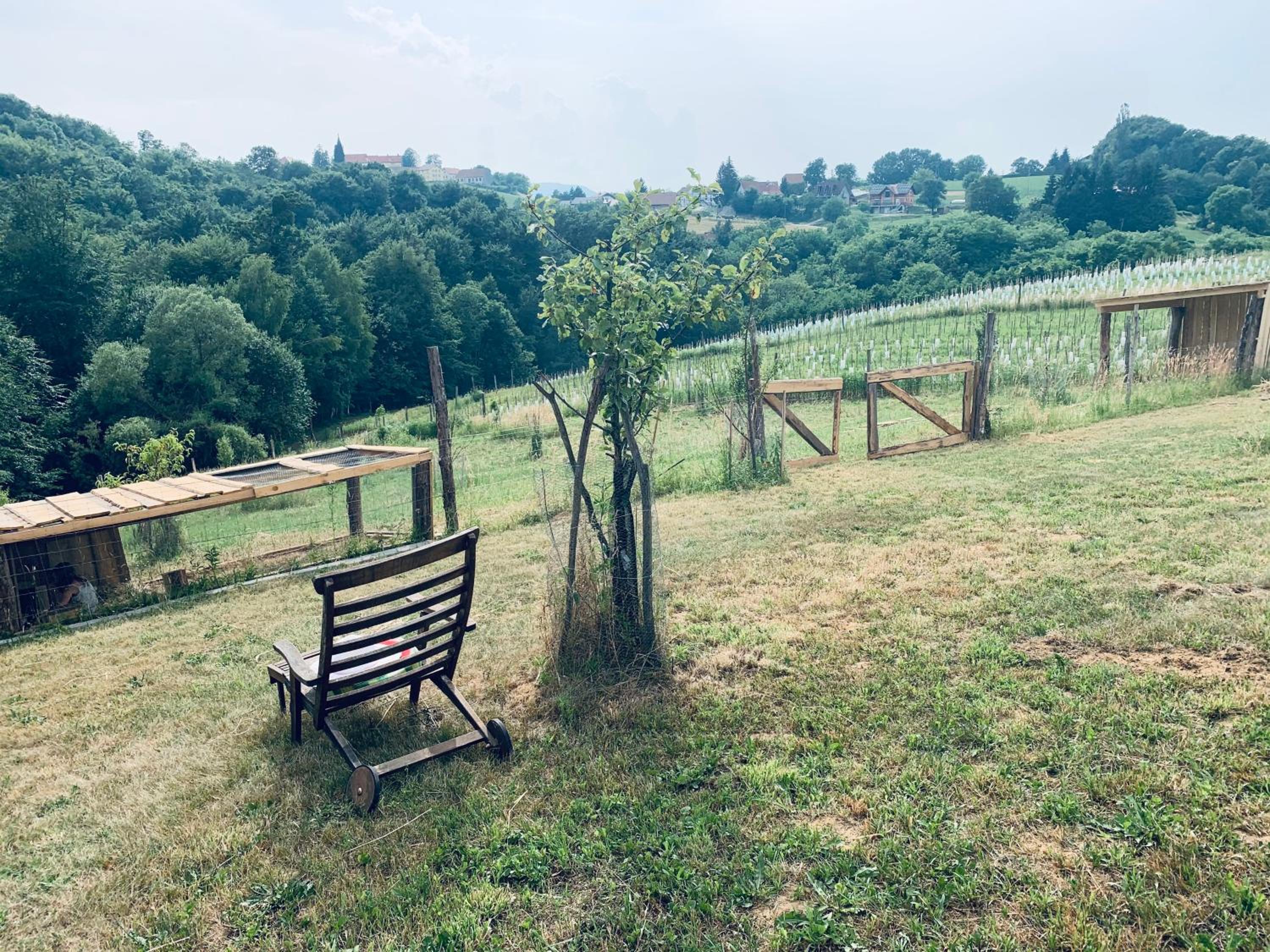 Boutique Glamping Divja DiVine