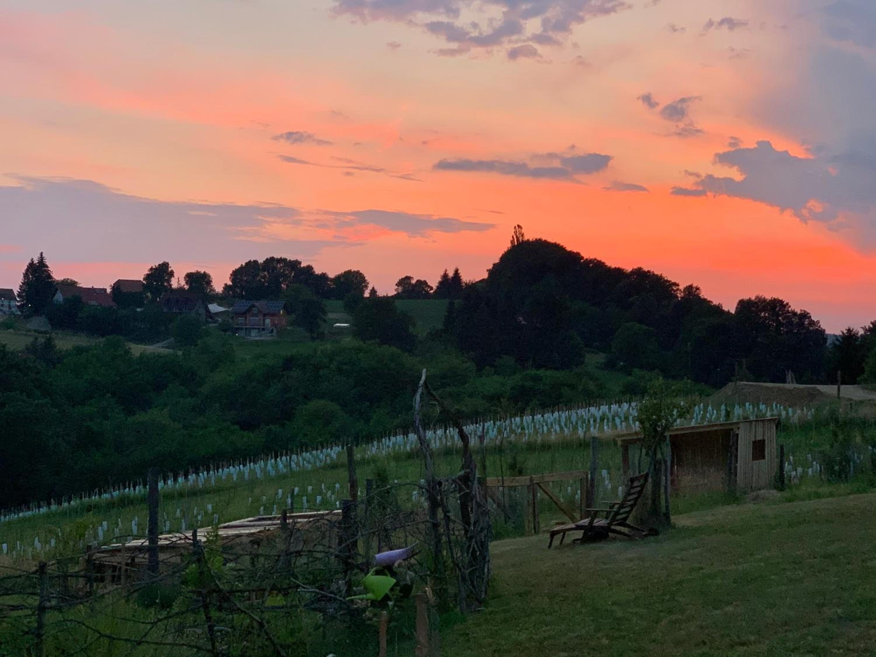 Boutique Glamping Divja DiVine