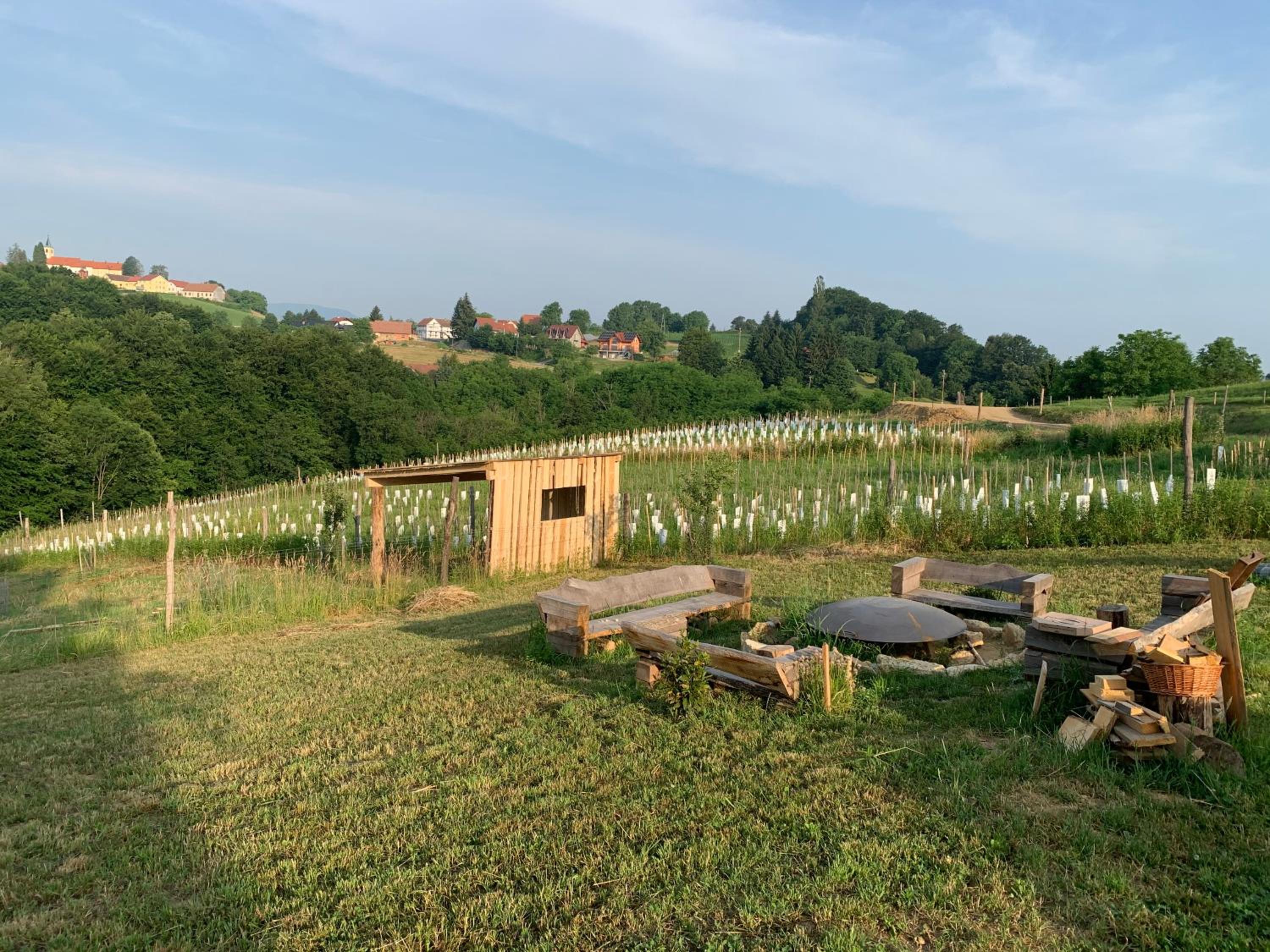 Boutique Glamping Divja DiVine