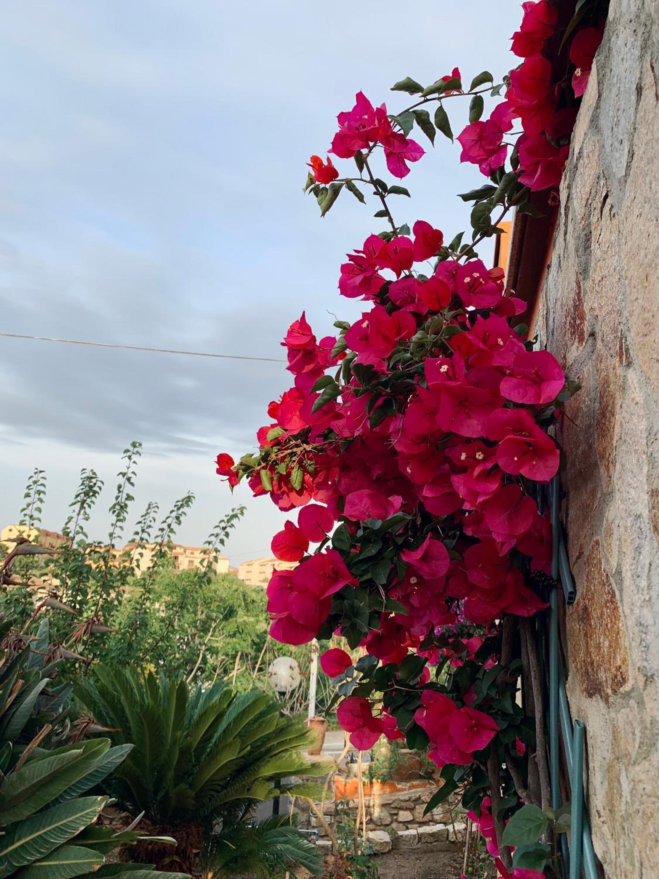 Villa le Bougainvillea