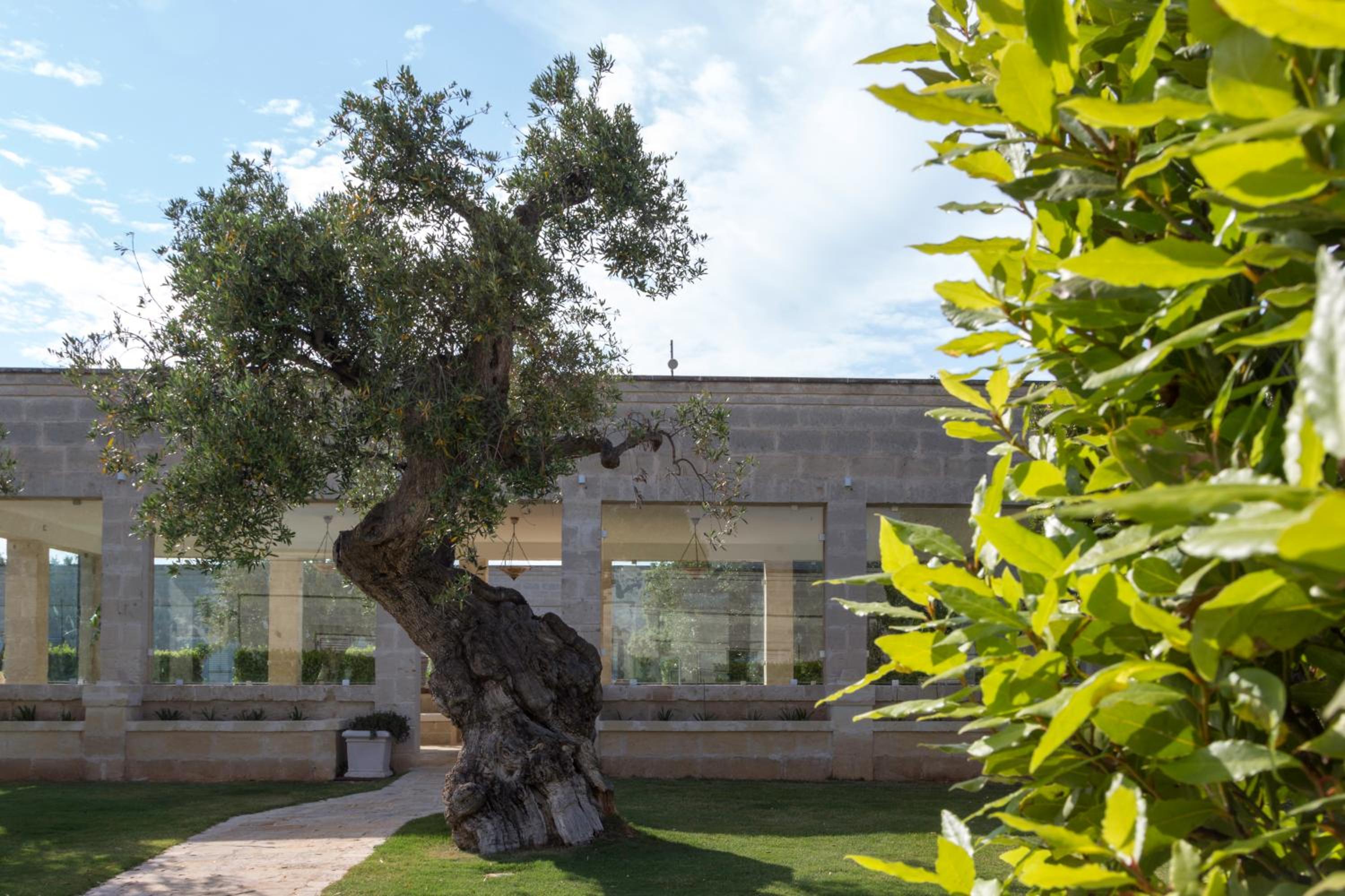 Masseria Torre Del Diamante