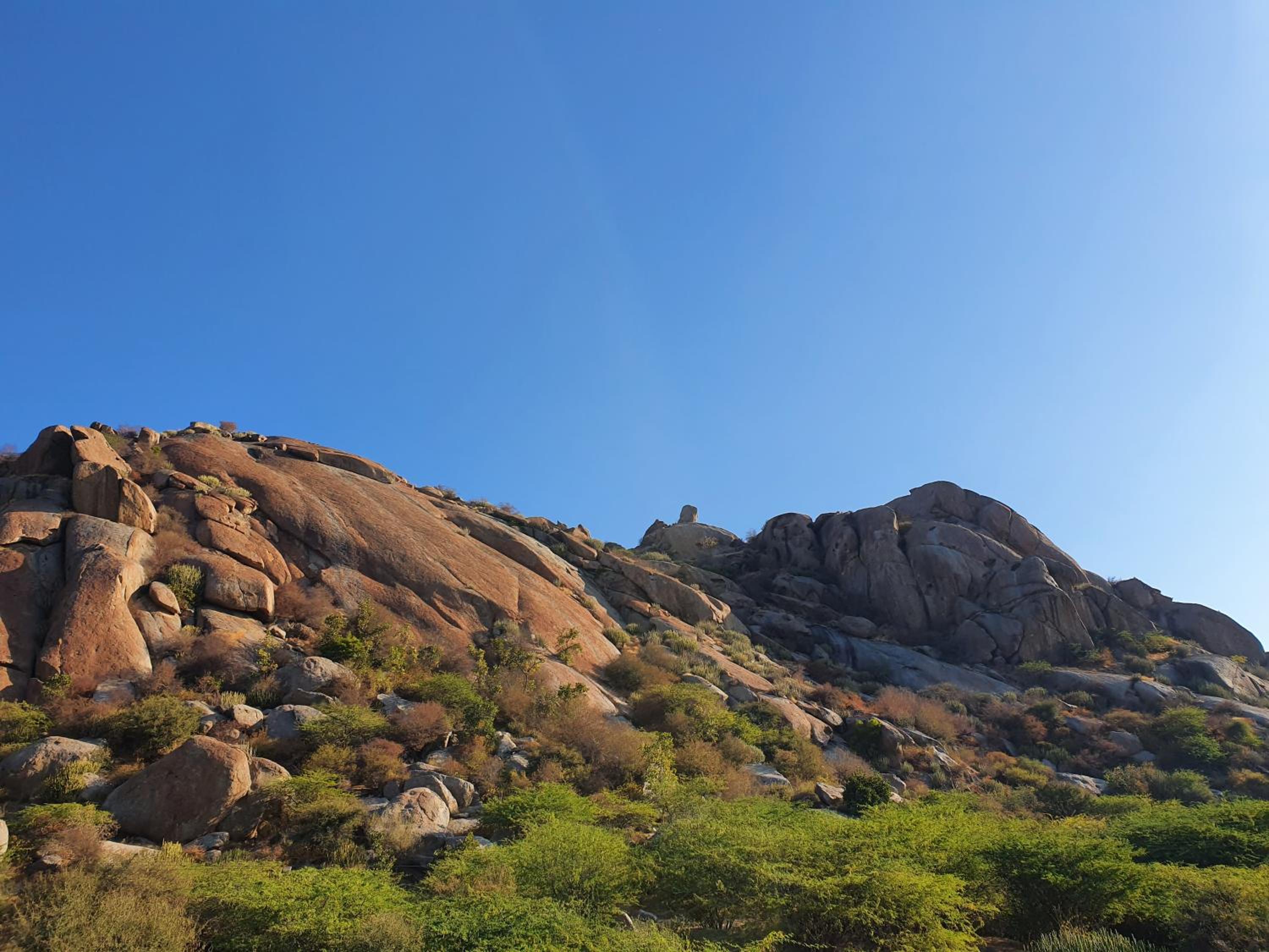 Bijapur Lodge Jawai
