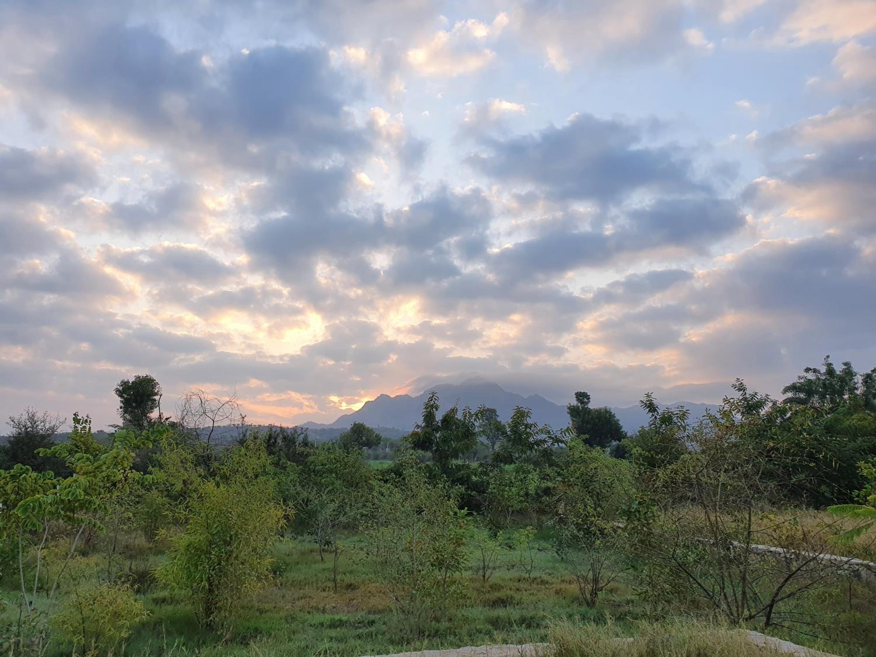Bijapur Lodge Jawai