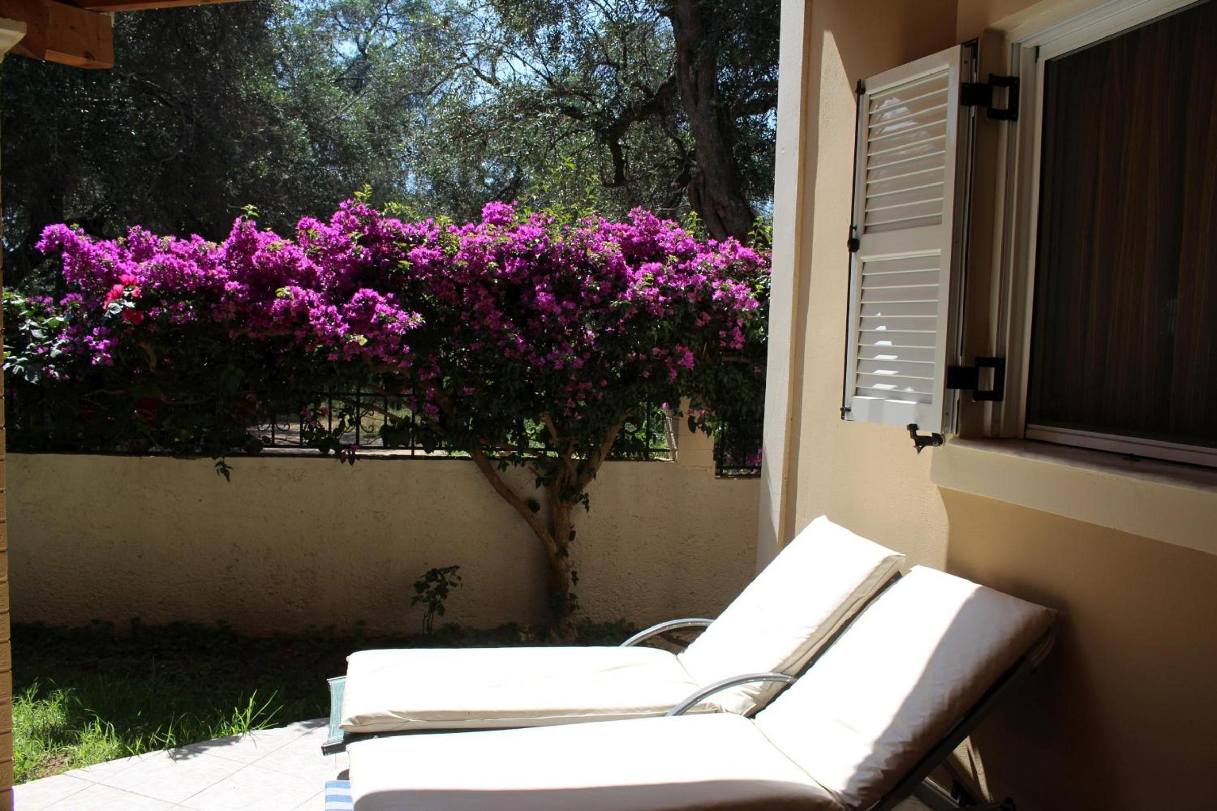 JASMIN Skidi view 4