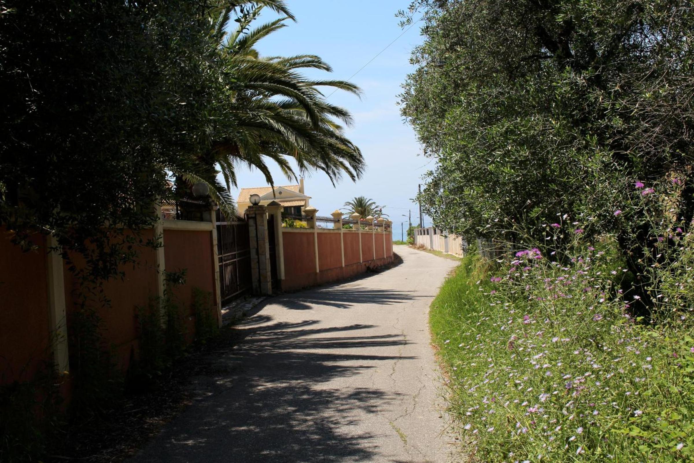 Photo 29
