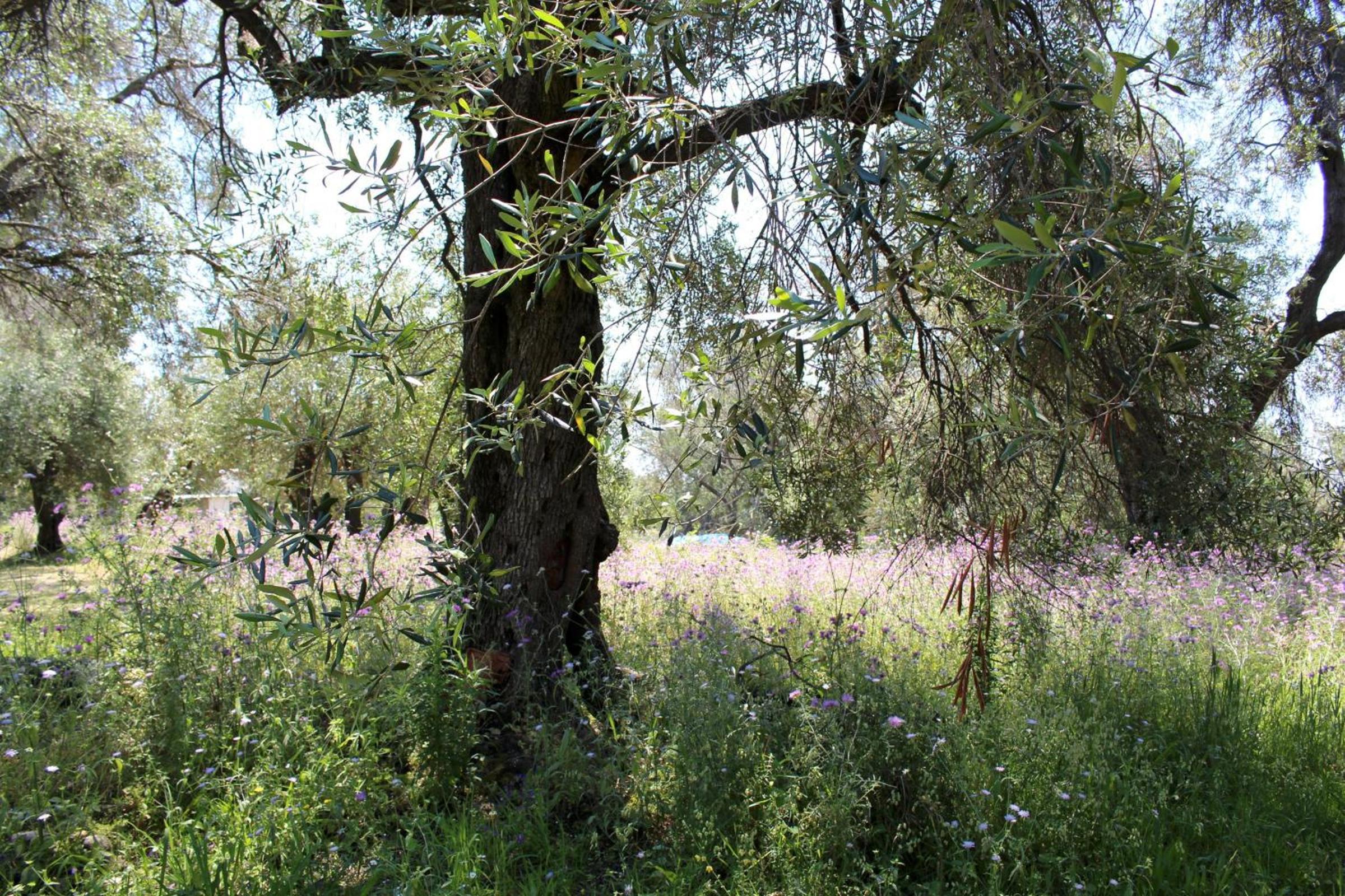 Photo 28