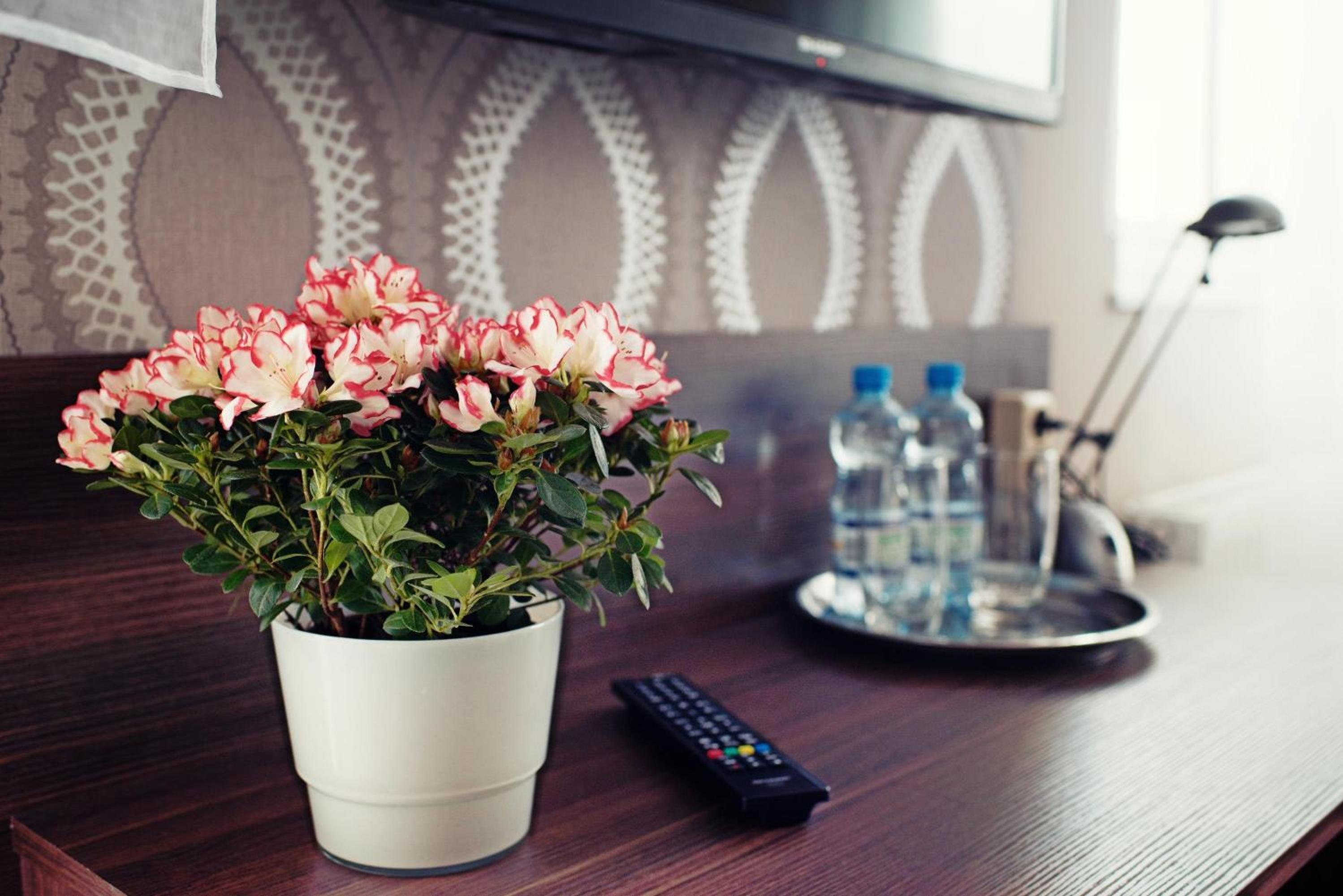 Katowice Vacations - Makara - Property Image 2