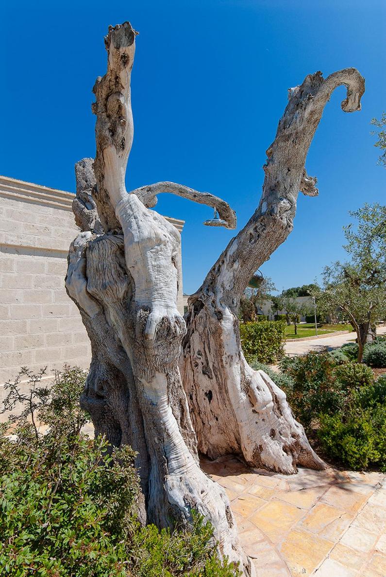Masseria Torre Del Diamante