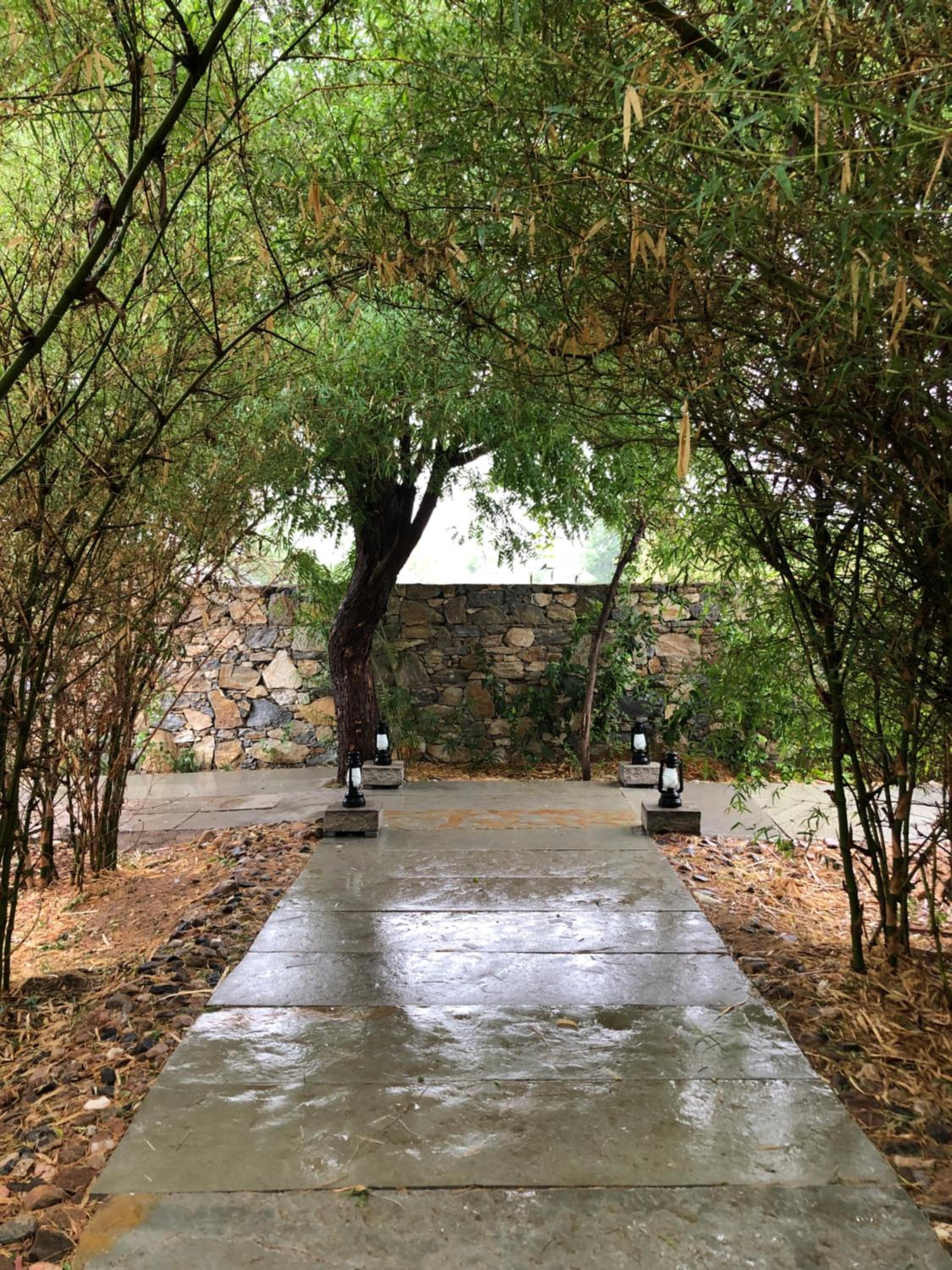 Bijapur Lodge Jawai