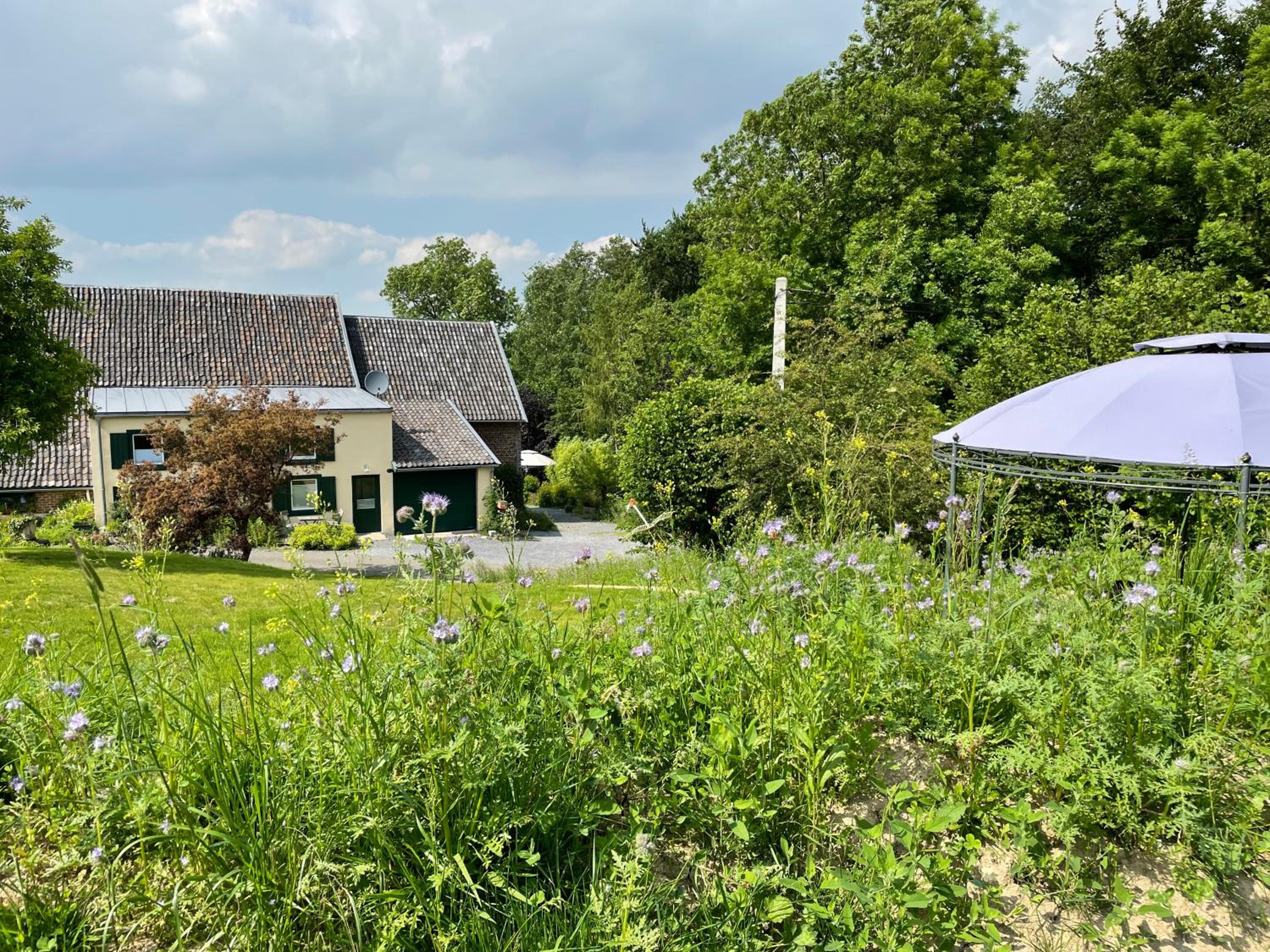 Bellerose Maison de Greunebennet