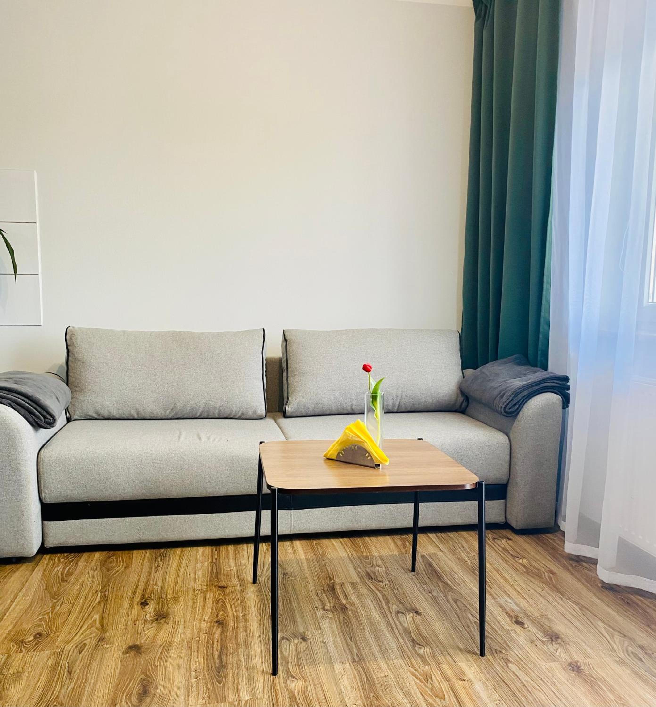Apartamenty Teatralne view 4