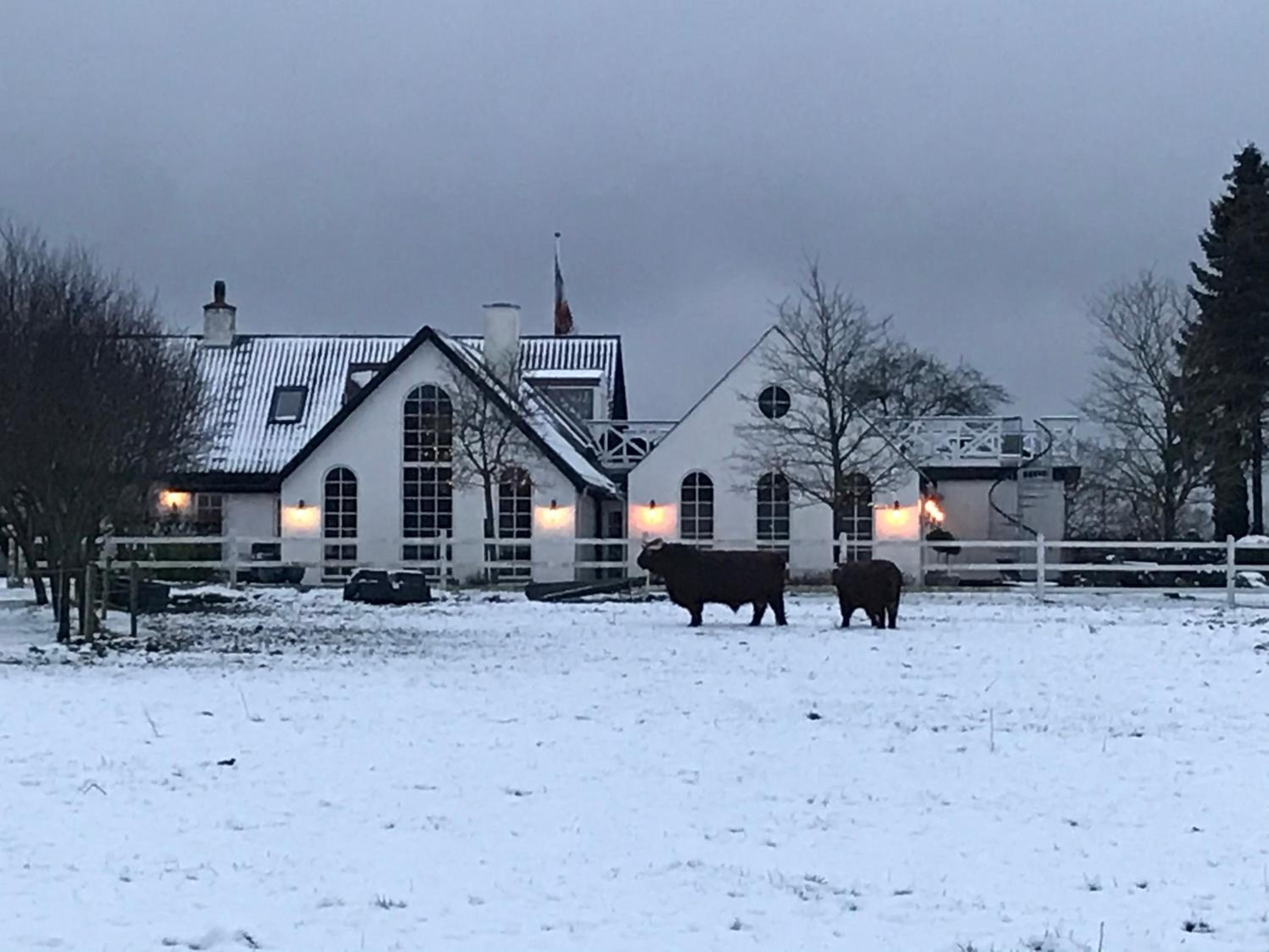 Troldegaarden Guesthouse