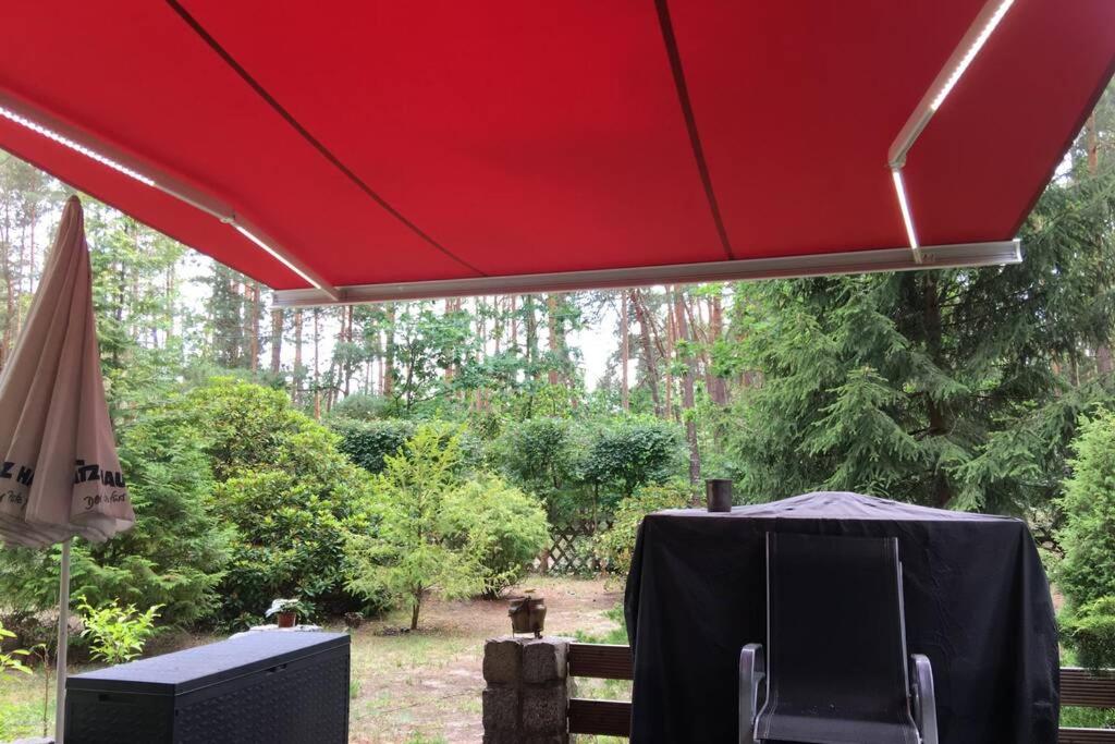 Ferienhaus Wald und Seeidylle, nahe Badesee, Spreewald, Berlin - Property Image 18