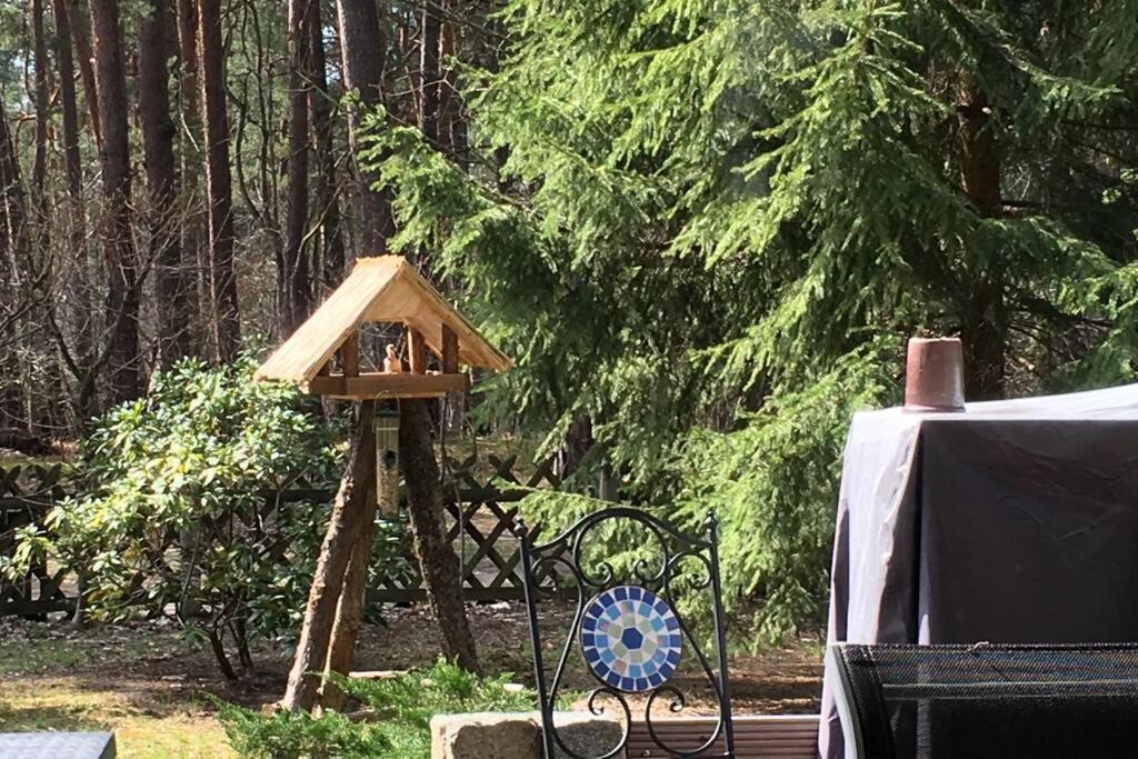 Ferienhaus Wald und Seeidylle, nahe Badesee, Spreewald, Berlin - Property Image 25