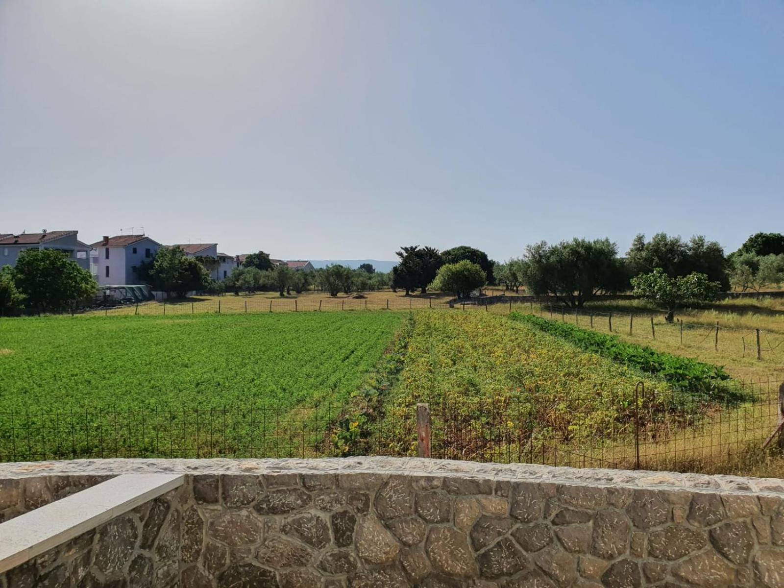 Apartman Ivana
