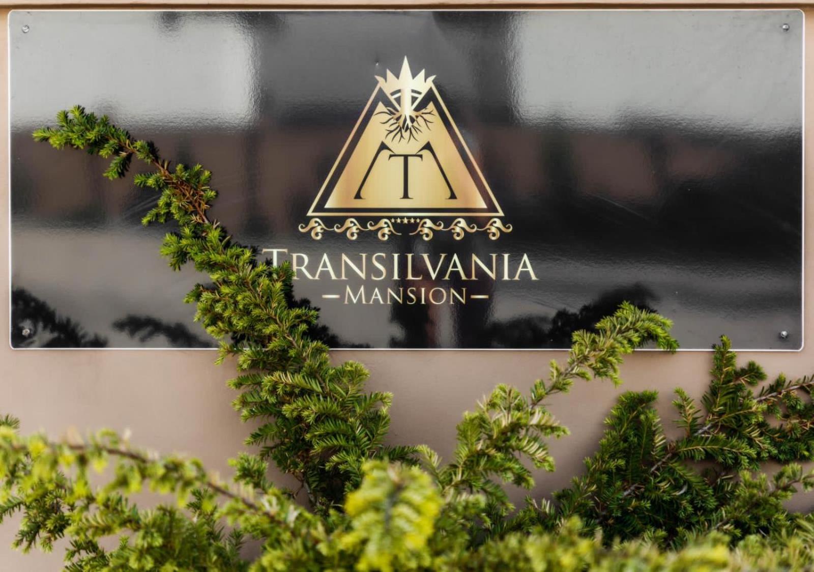 Transilvania Mansion view 2