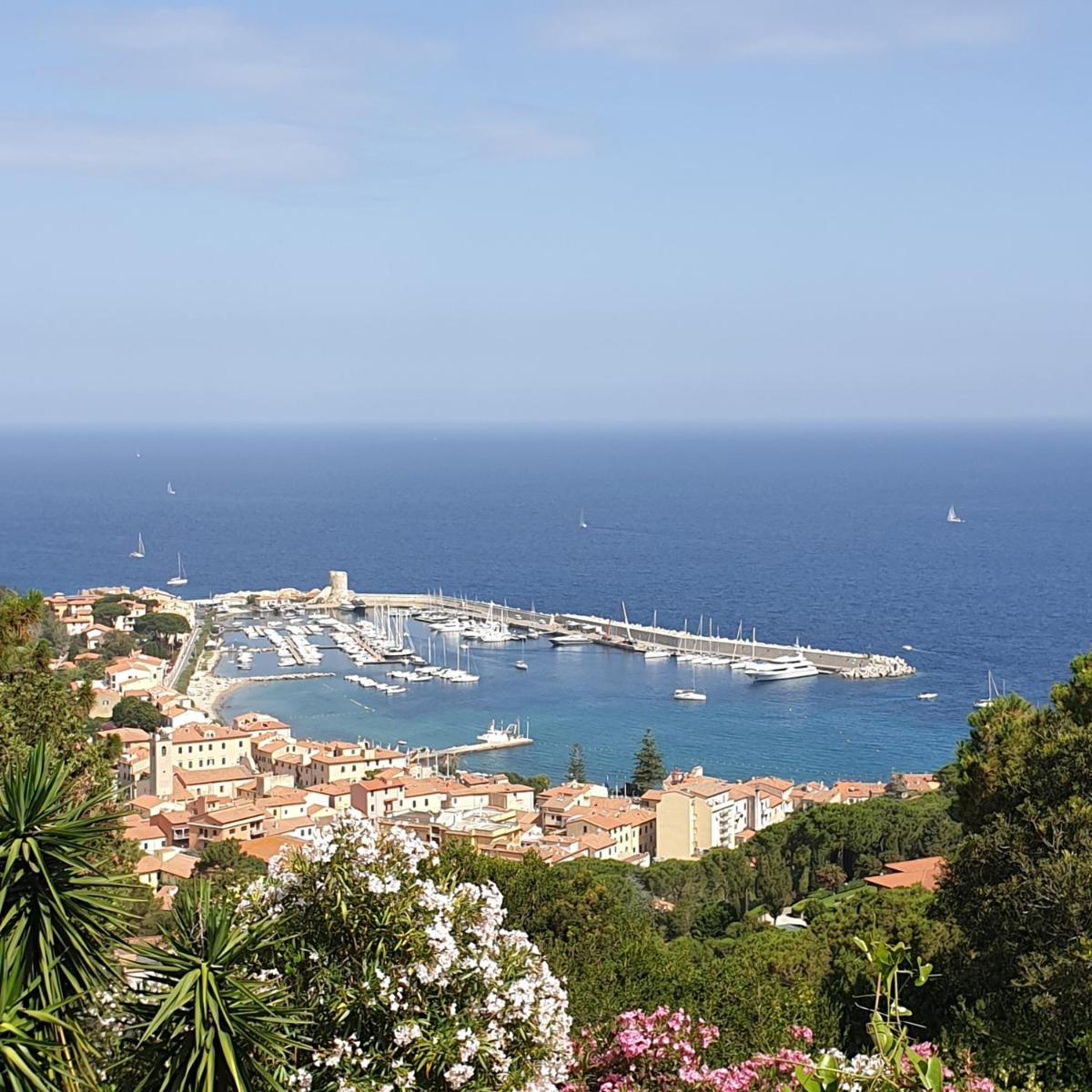 Alta Marina view 2
