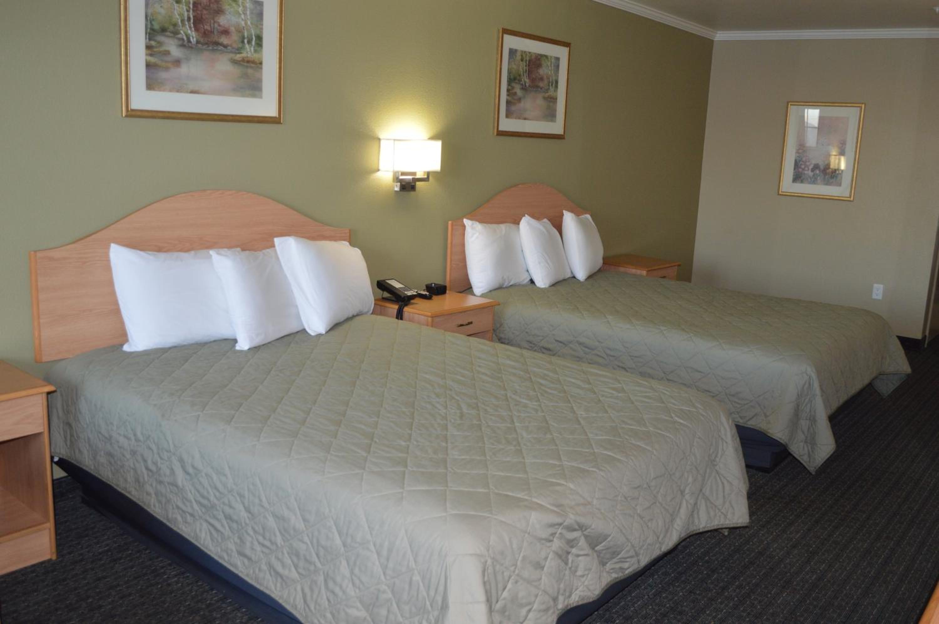 Budget Inn, photo 23